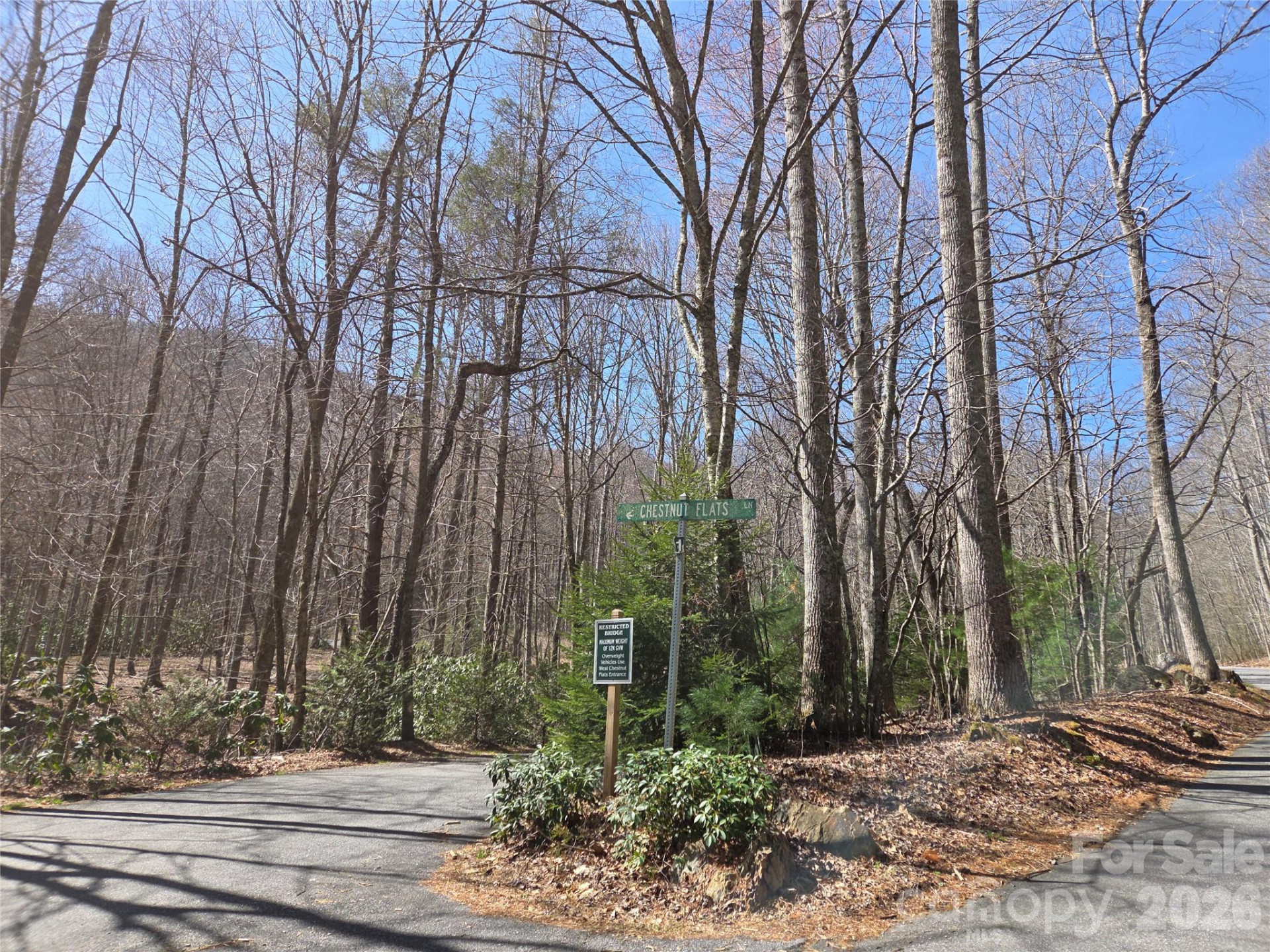 820 Chestnut Flats Lane #4 - Photo 14