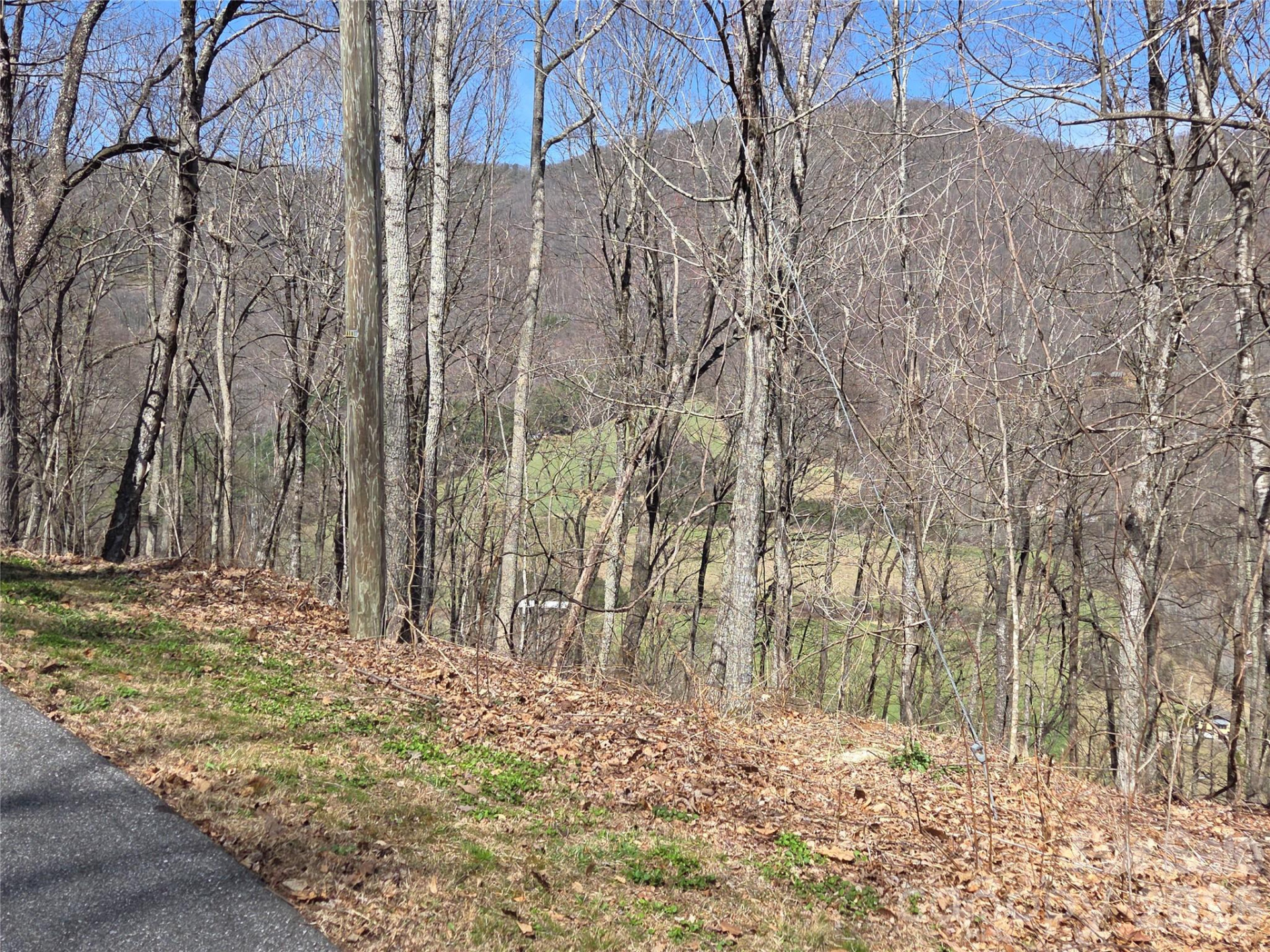 820 Chestnut Flats Lane #4 - Photo 17