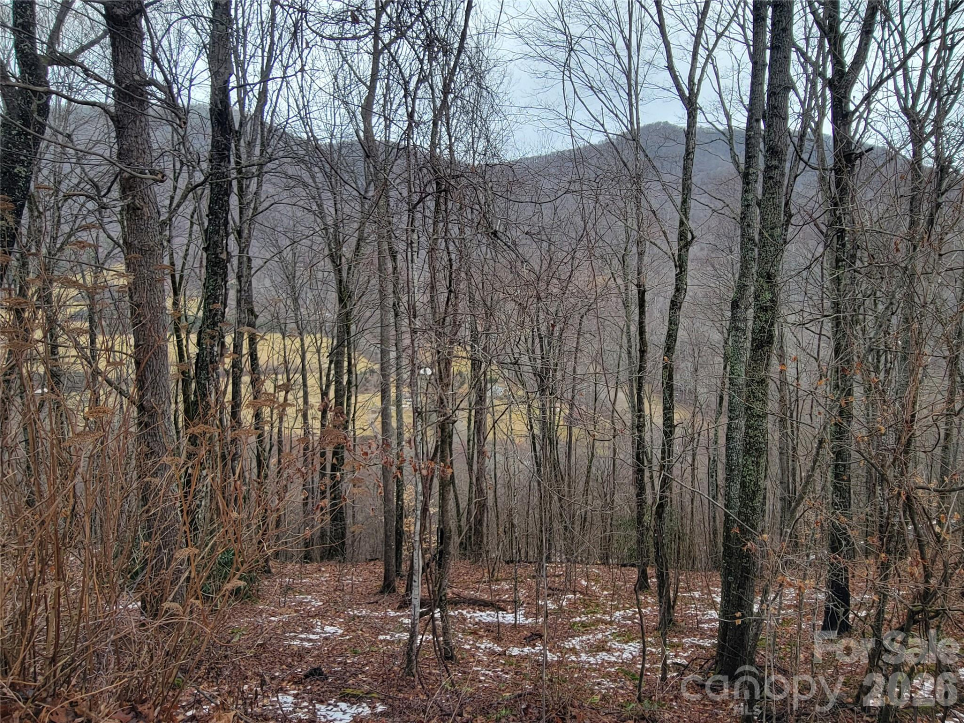 820 Chestnut Flats Lane #4 - Photo 19