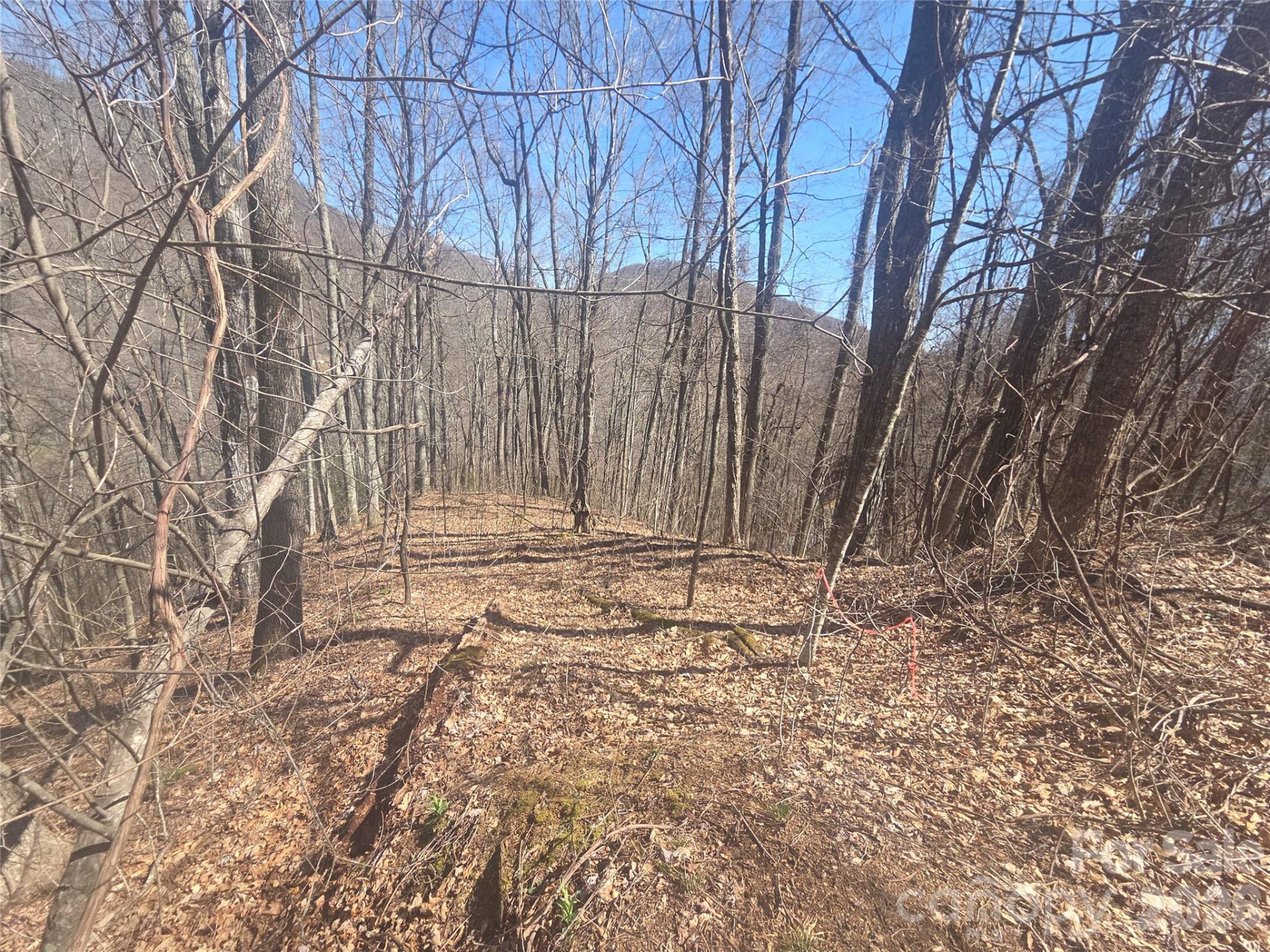 820 Chestnut Flats Lane #4 - Photo 3