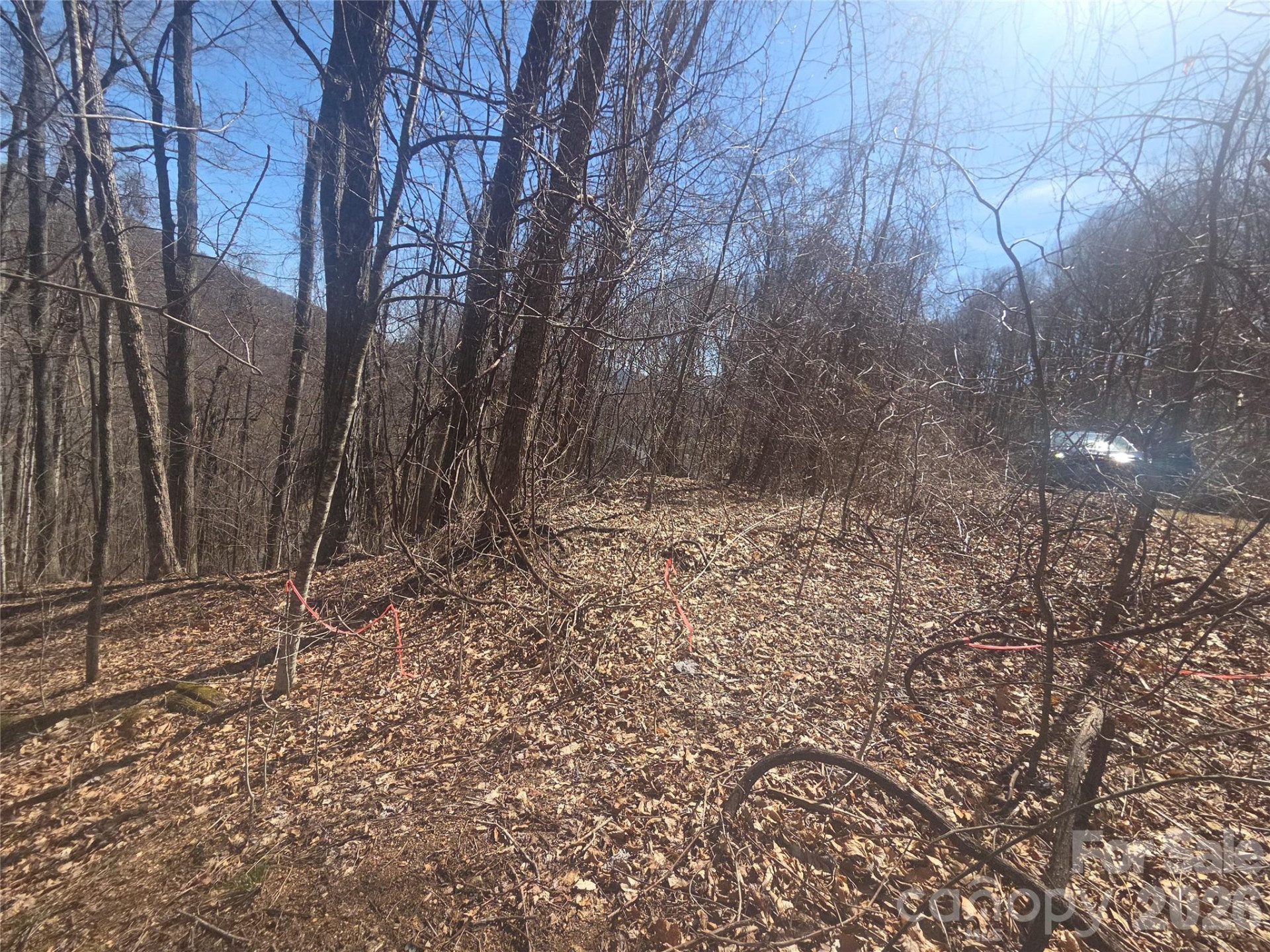 820 Chestnut Flats Lane #4 - Photo 4