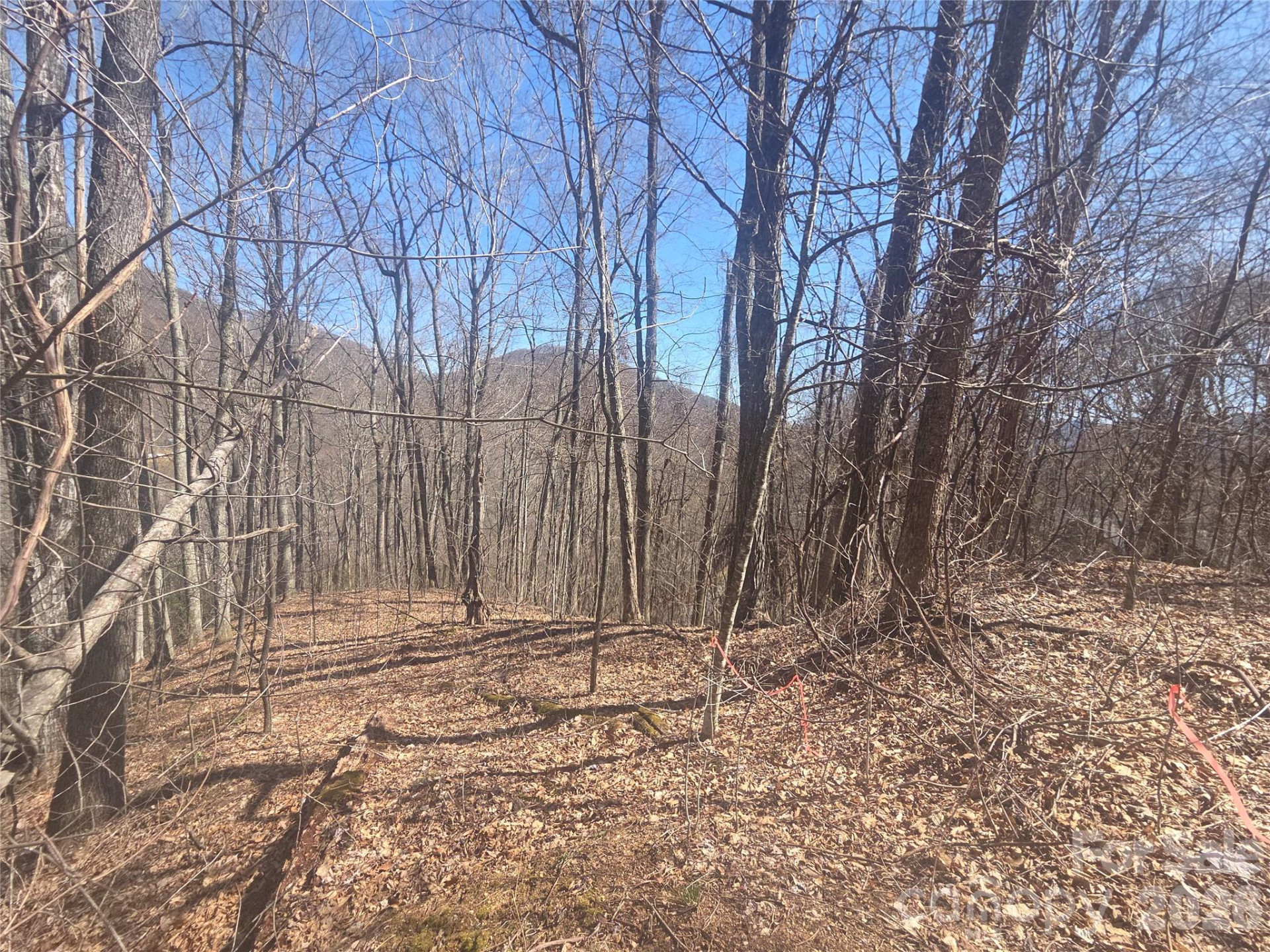 820 Chestnut Flats Lane #4 - Photo 5