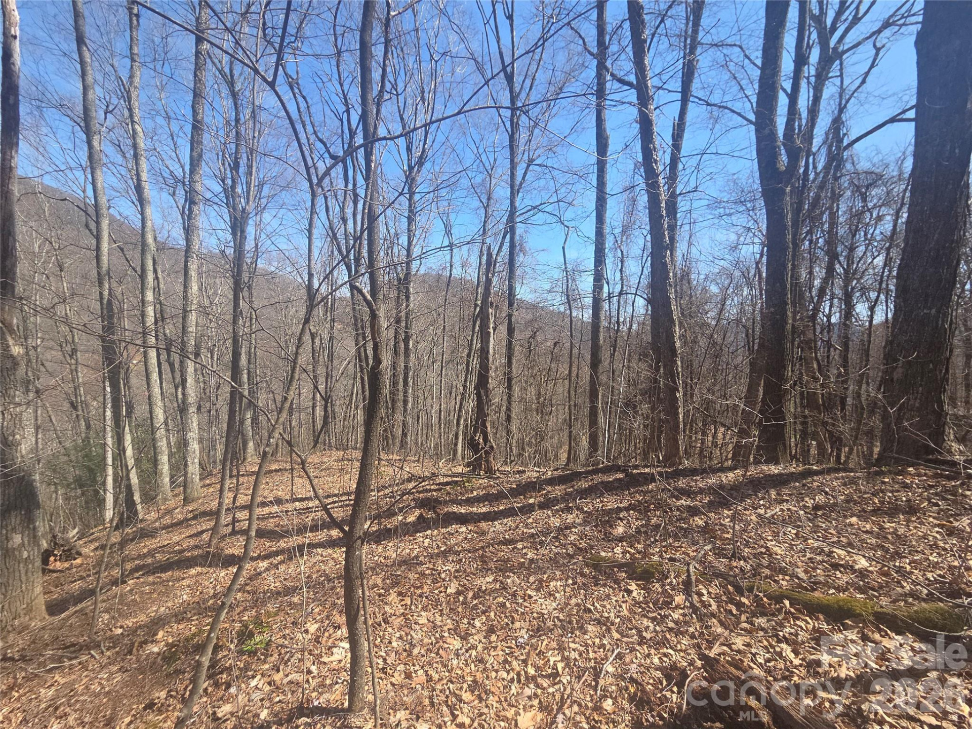 820 Chestnut Flats Lane #4 - Photo 6