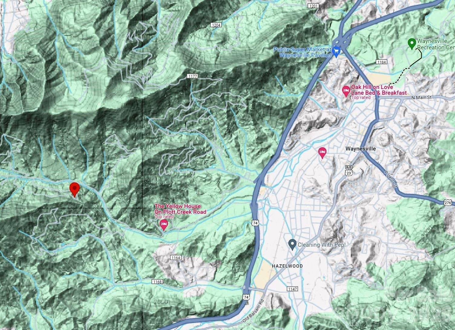 820 Chestnut Flats Lane #4 - Photo 9