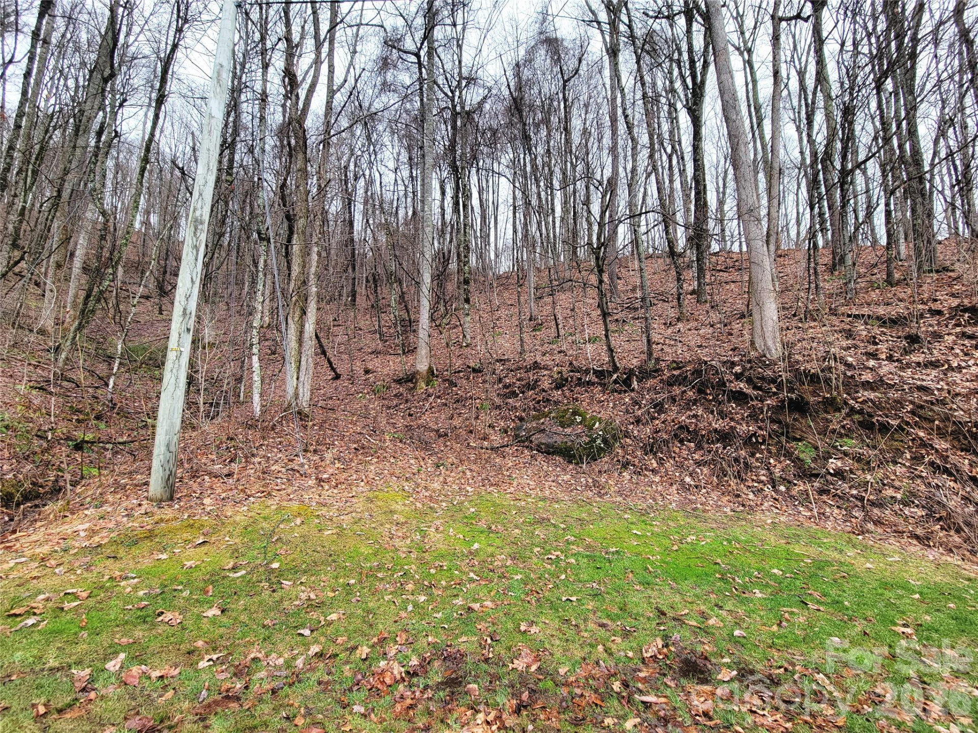 820 Chestnut Flats Lane #4 - Photo 10