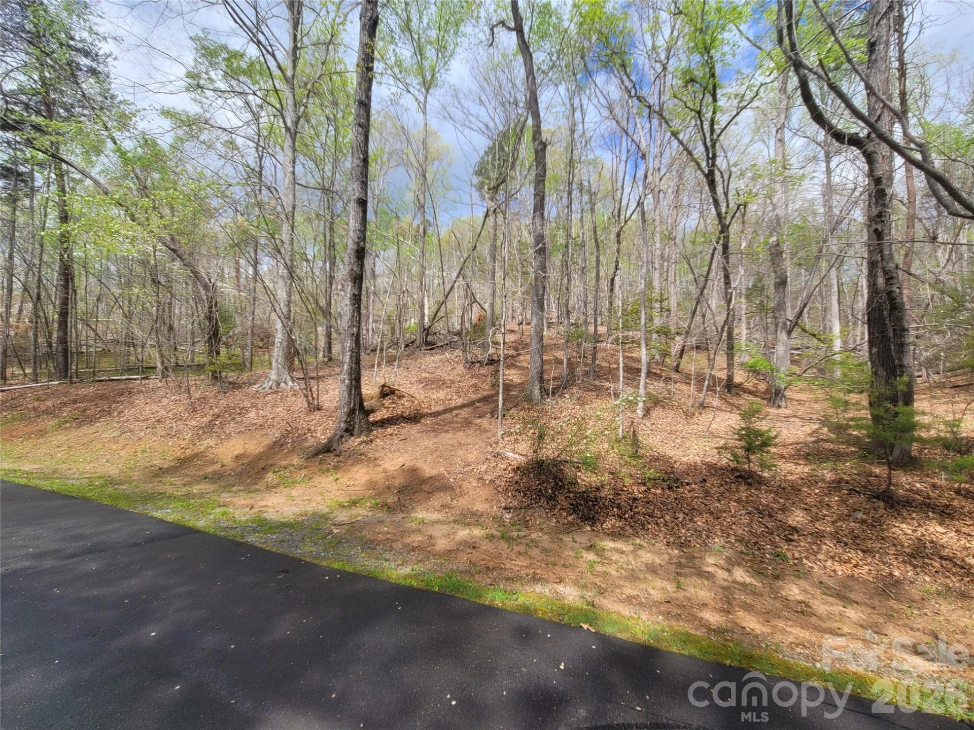 0 Springhill Drive - Photo 2