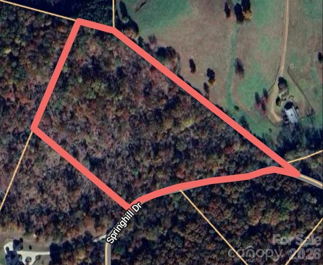 0 Springhill Drive - Photo 3