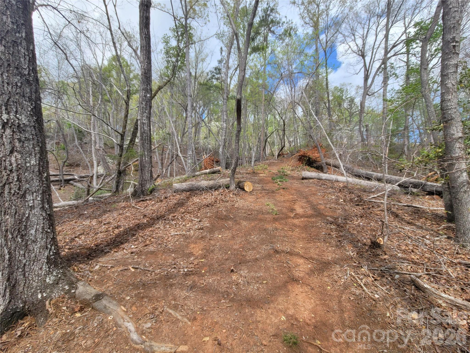 0 Springhill Drive - Photo 4