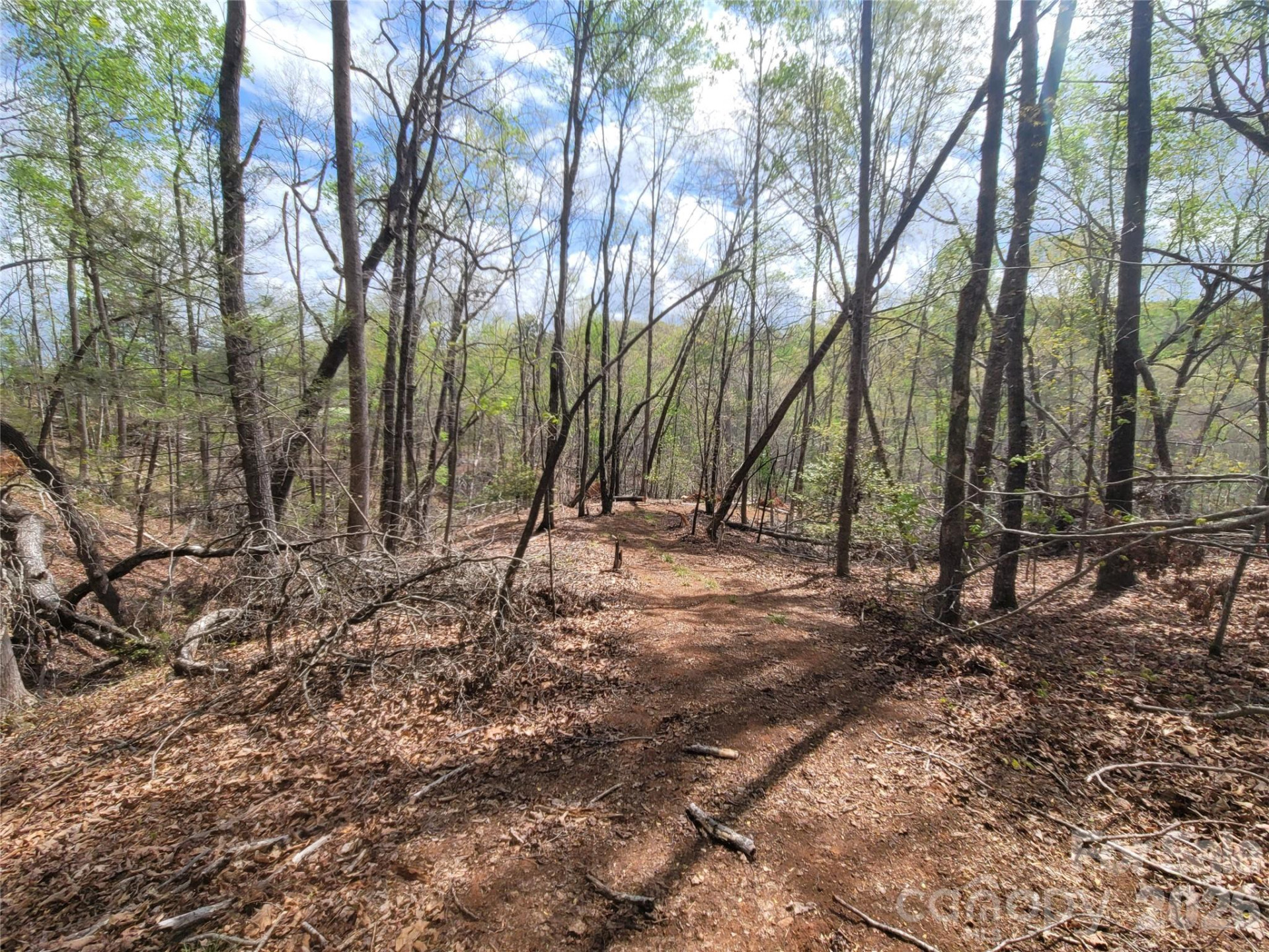 0 Springhill Drive - Photo 5