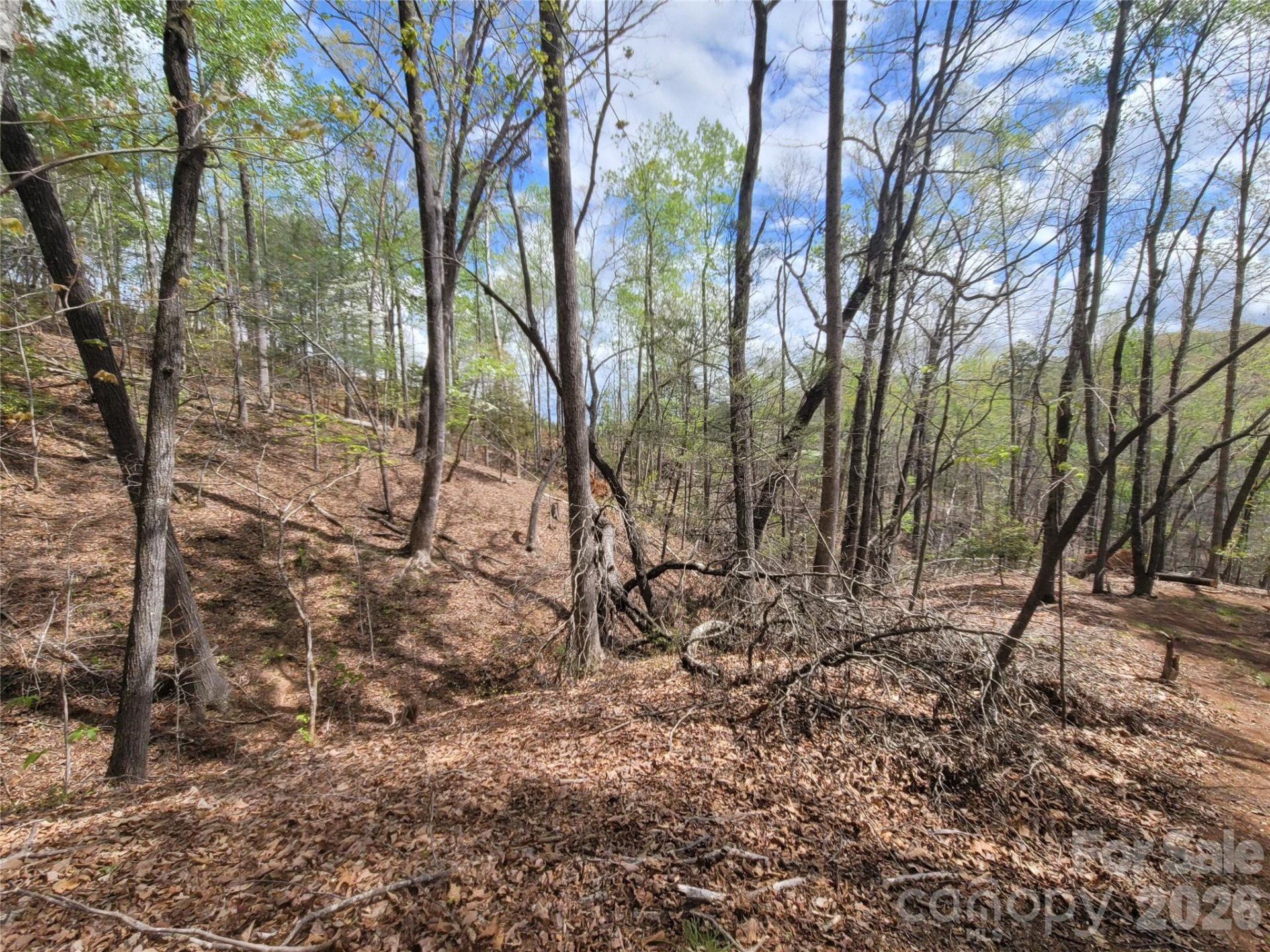 0 Springhill Drive - Photo 6