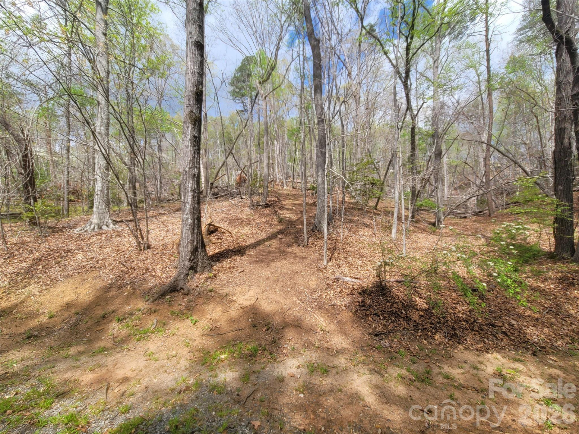 0 Springhill Drive - Photo 7