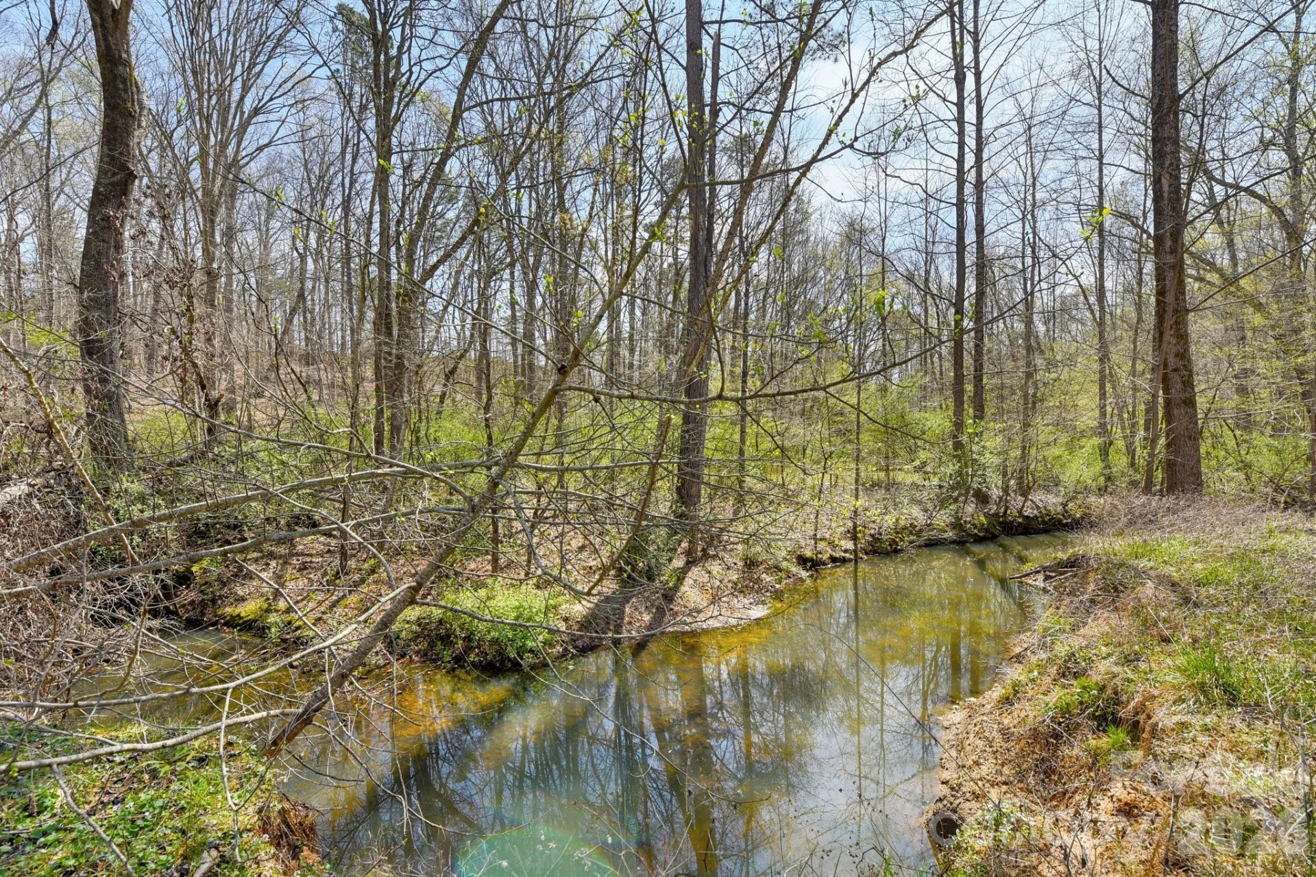 438 Cox Lake Road - Photo 29