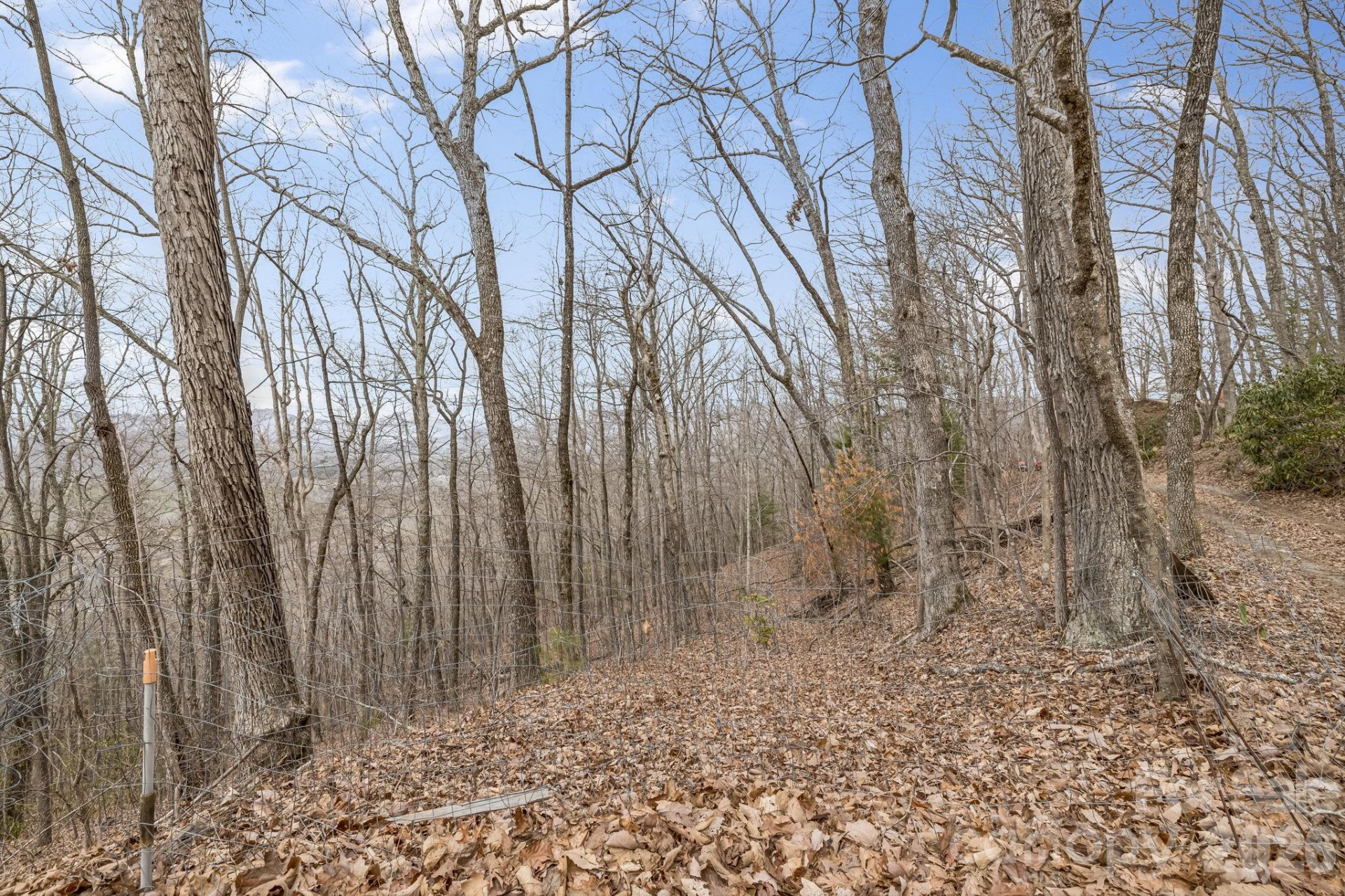 99999 Oak Ridge Road - Photo 11