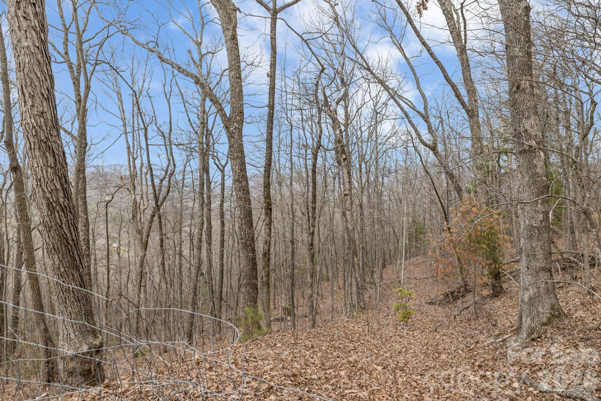 99999 Oak Ridge Road - Photo 12