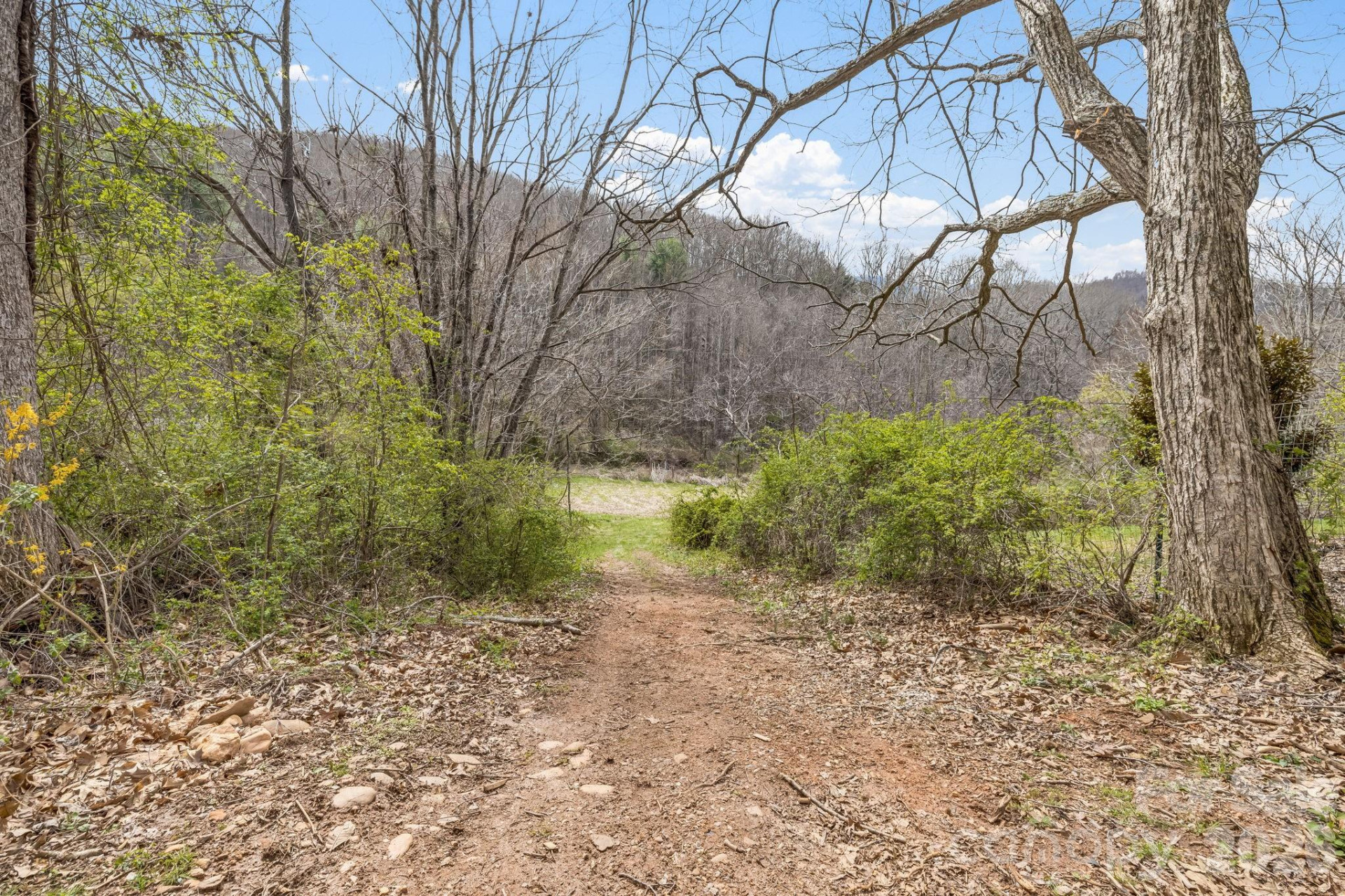 99999 Oak Ridge Road - Photo 13