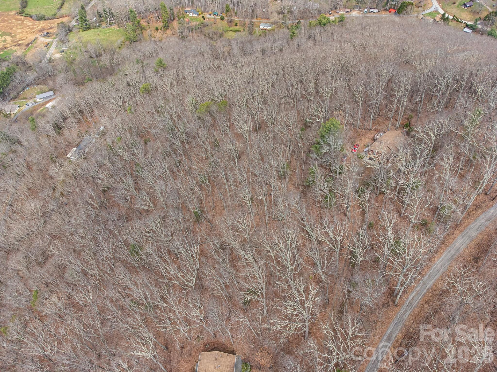 99999 Oak Ridge Road - Photo 24