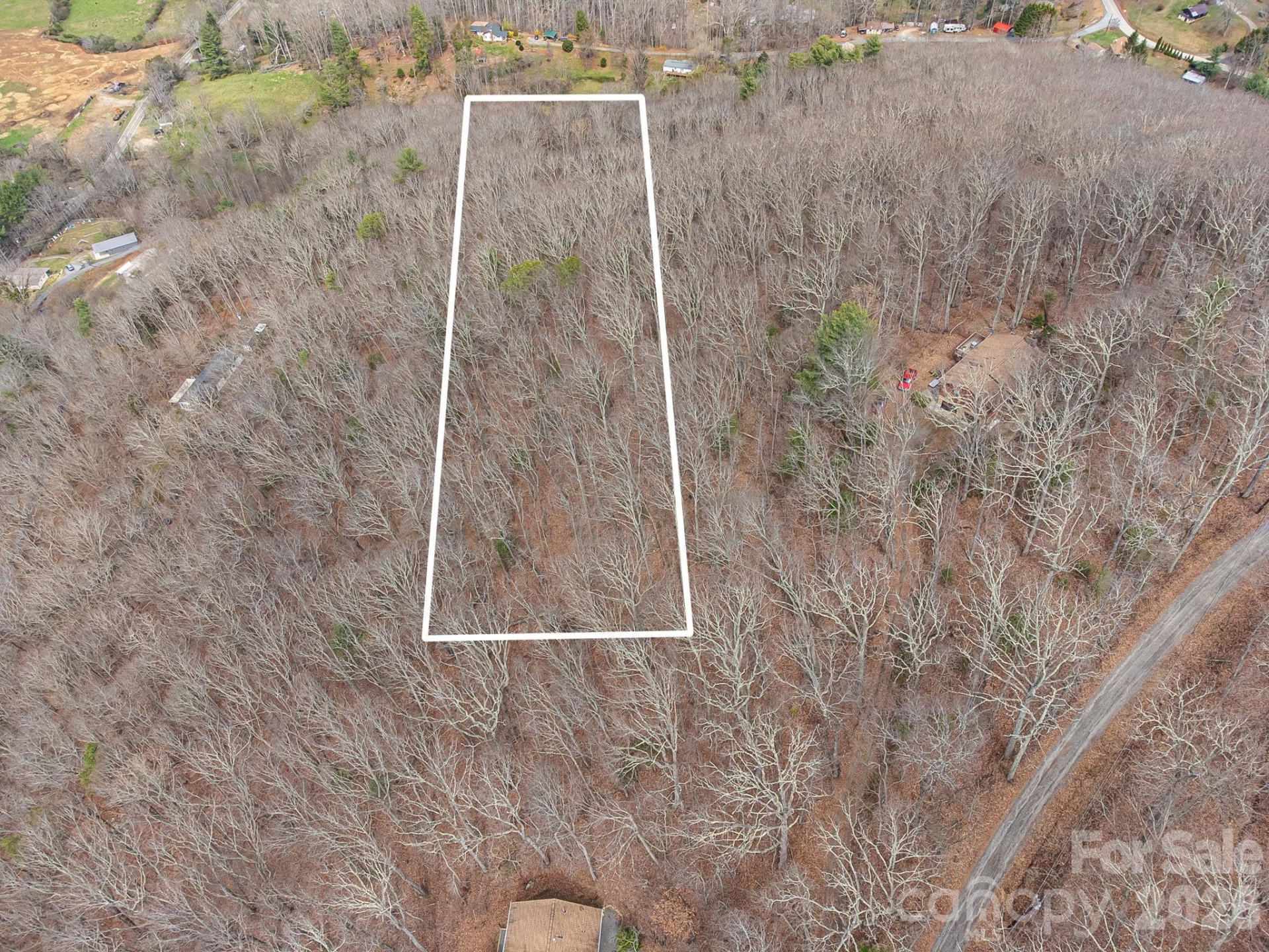 99999 Oak Ridge Road - Photo 8