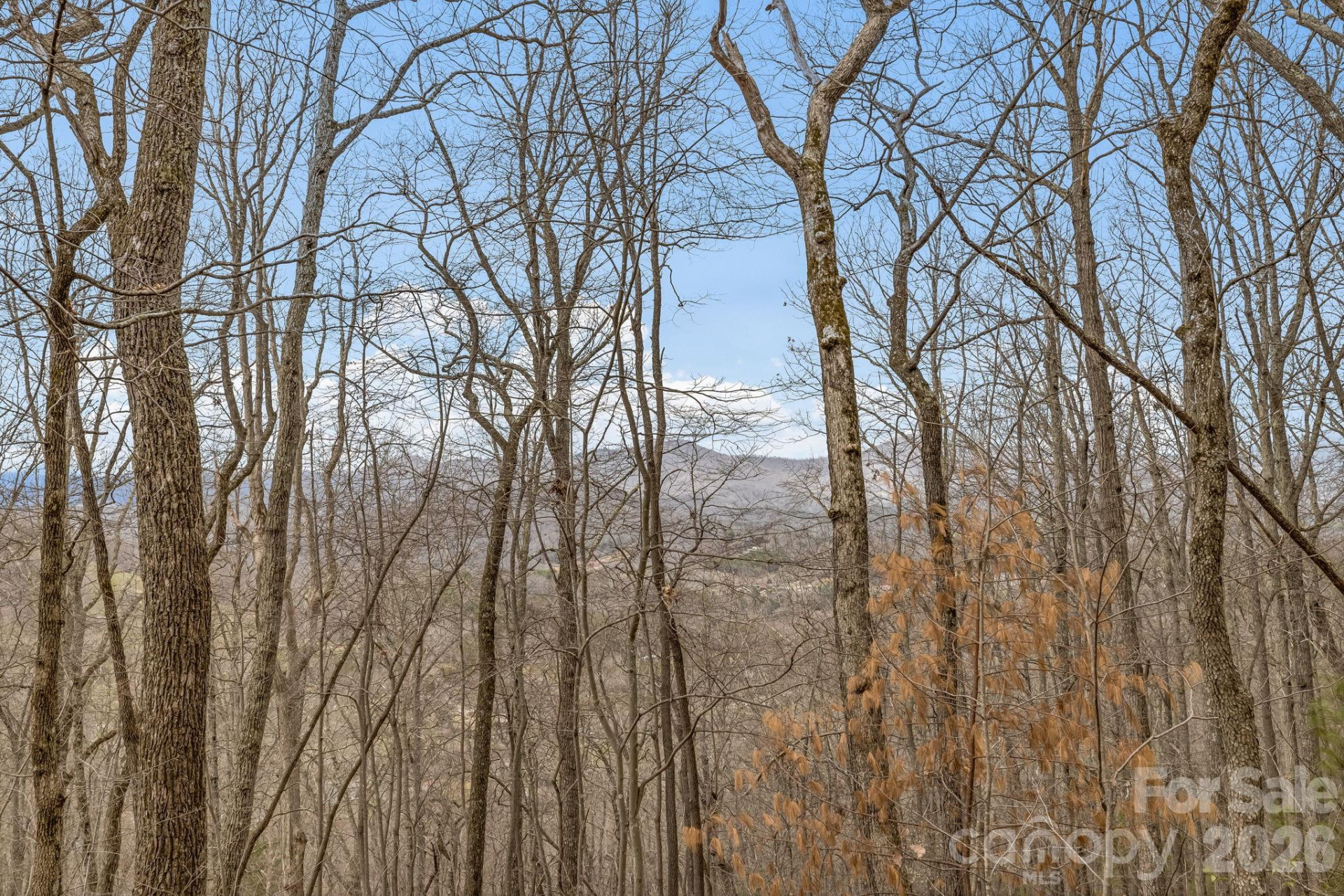 99999 Oak Ridge Road - Photo 9