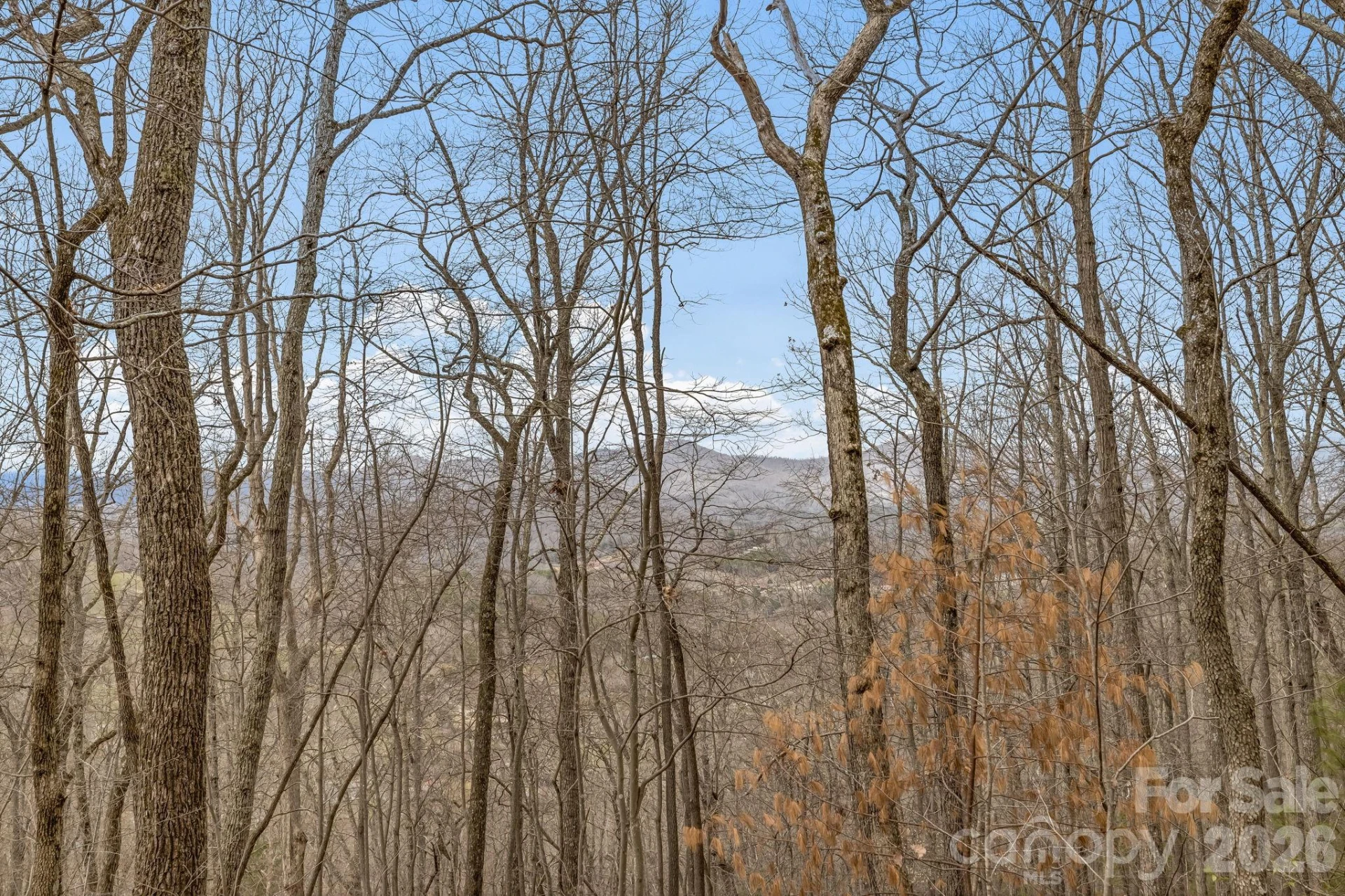99999 Oak Ridge Road - Photo 9