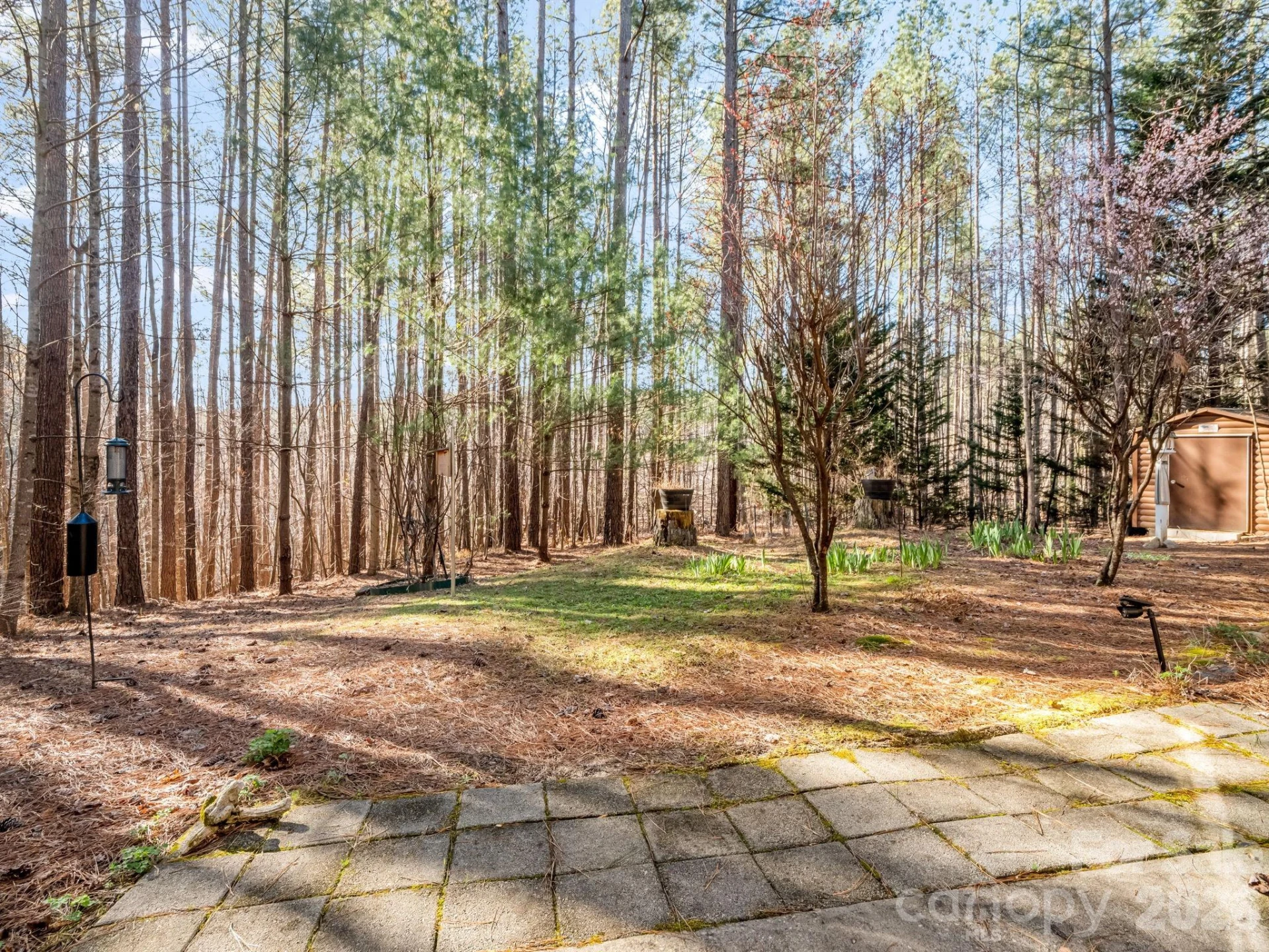 907 Hidden Lake Parkway - Photo 2