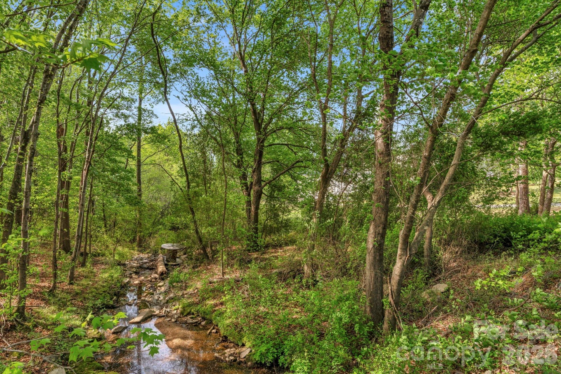 15015 Pawnee Trail - Photo 29