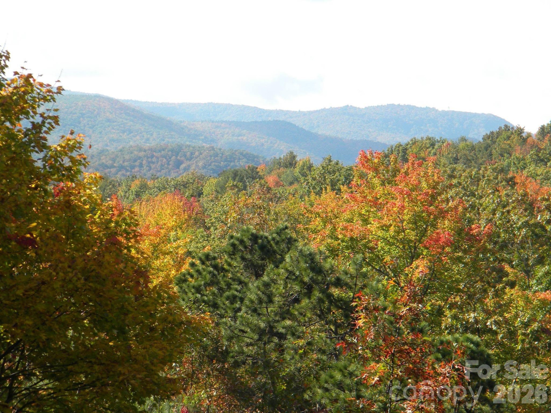 552 Kanasgowa Drive - Photo 3