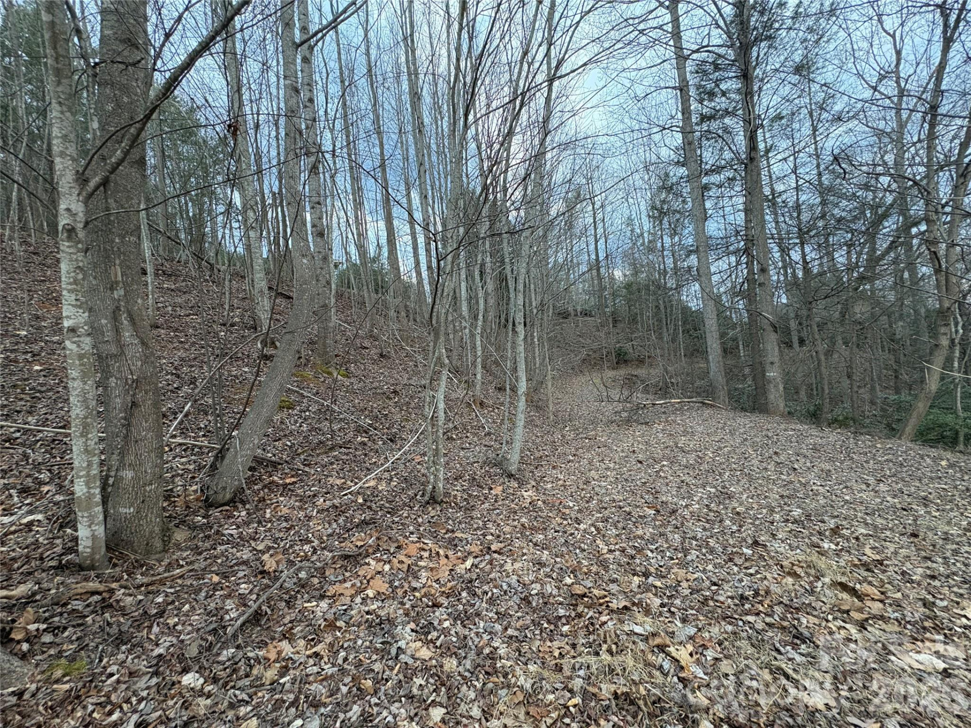 21 Pier Drive #78 - Photo 2