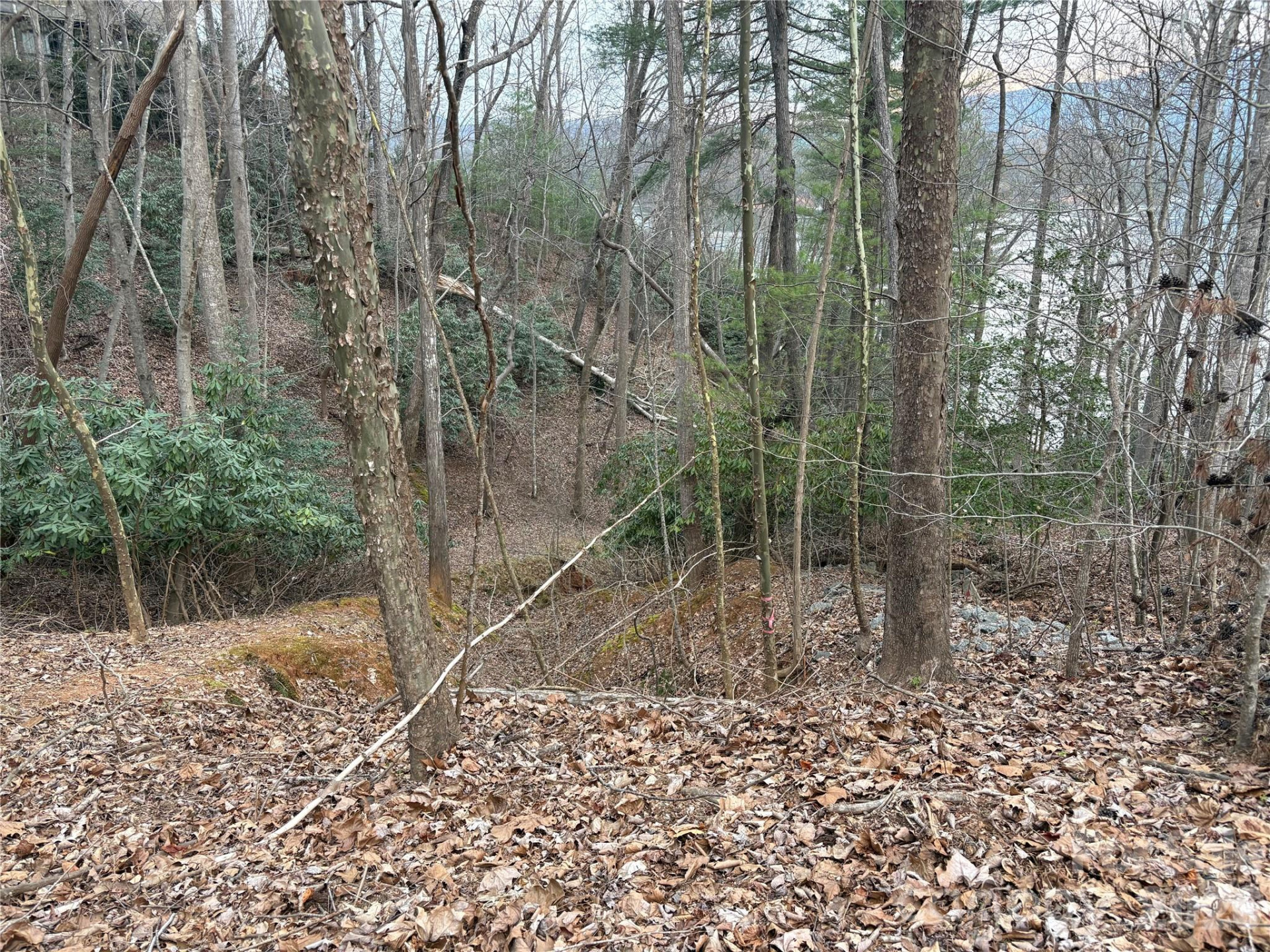 21 Pier Drive #78 - Photo 5