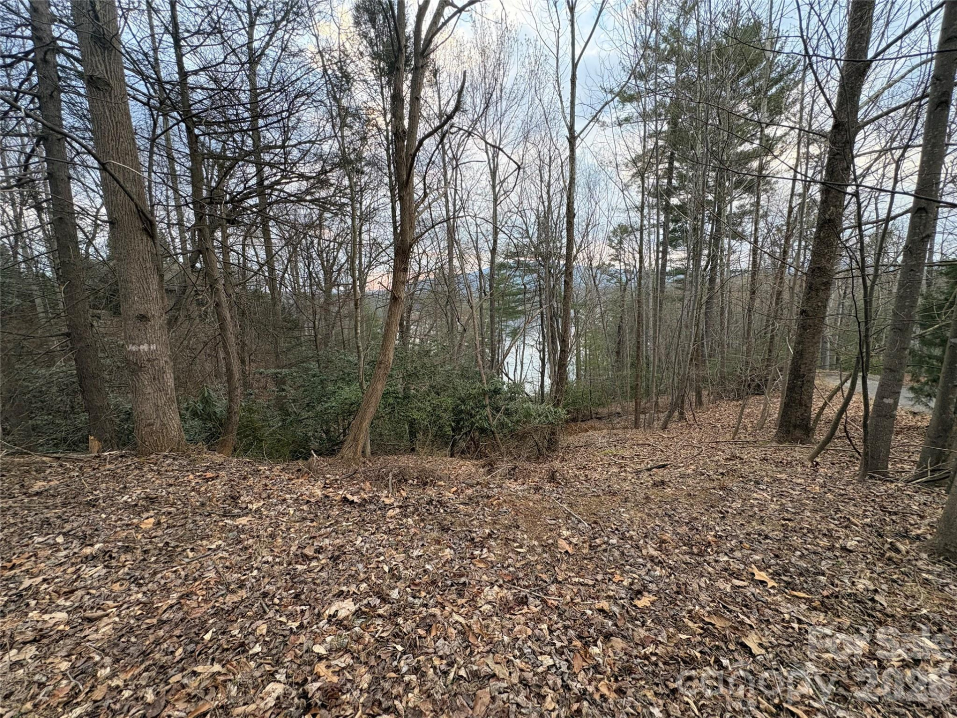 21 Pier Drive #78 - Photo 6