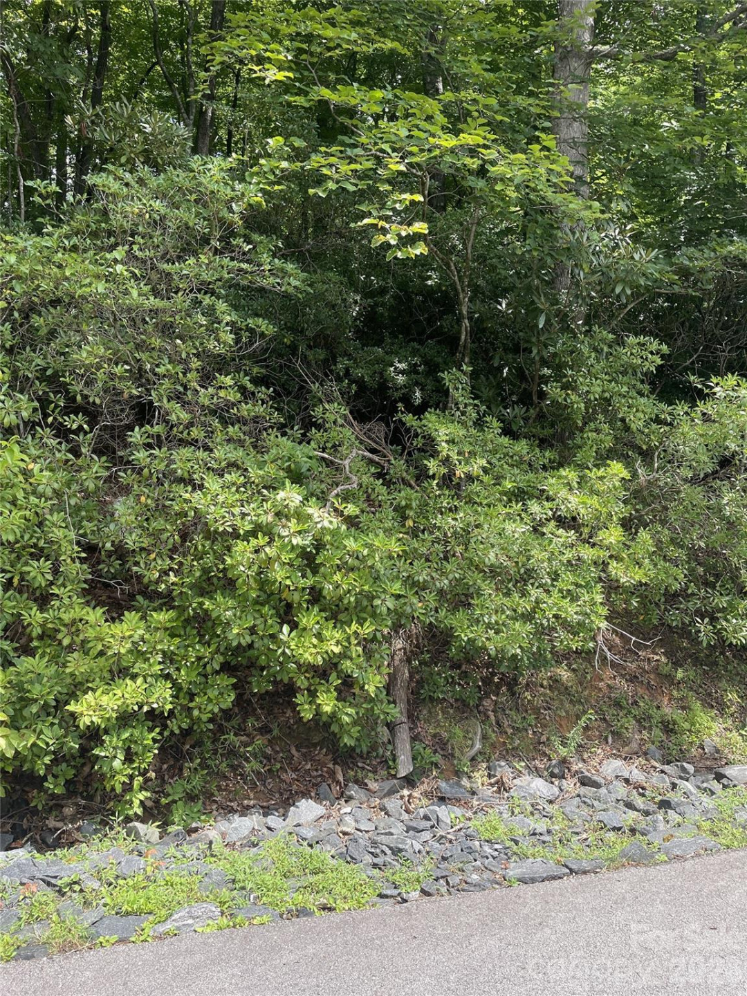 00 Winterstar Loop #17 - Photo 4