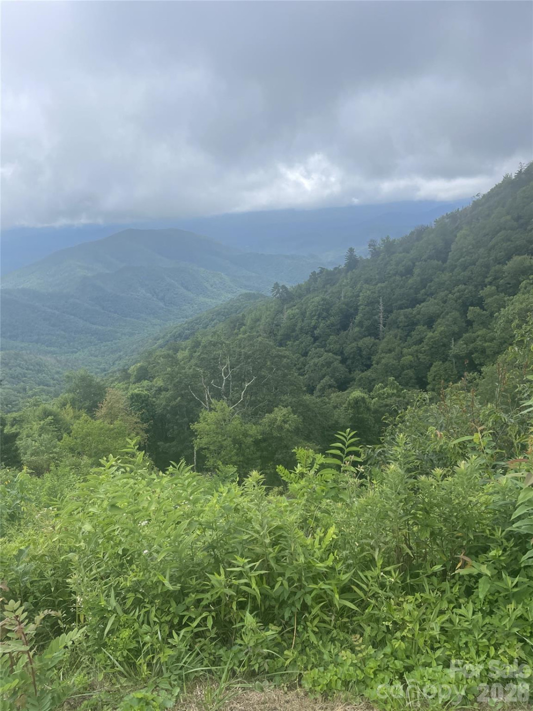 00 Winterstar Loop #17 - Photo 7