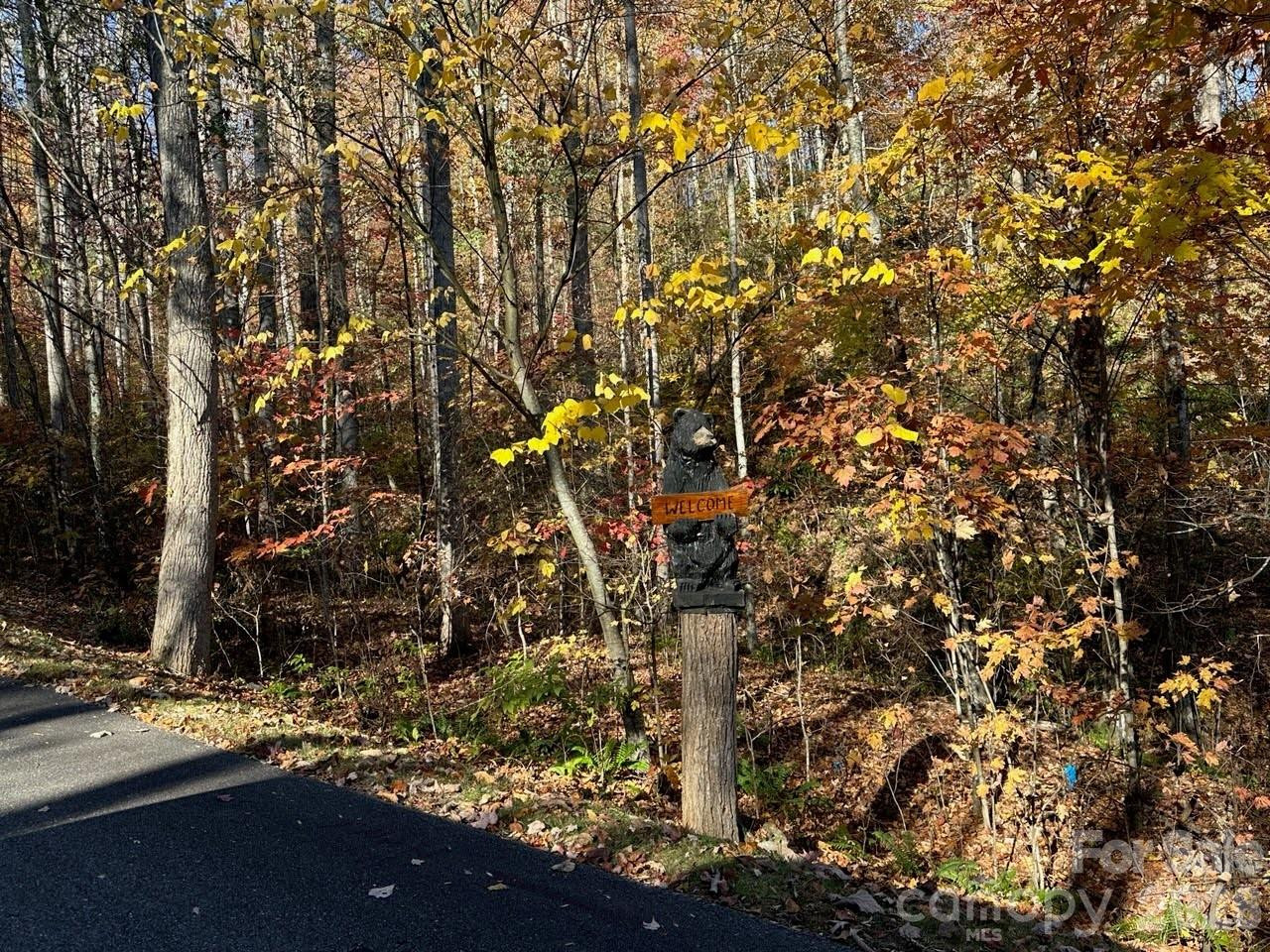 3 Mountain Watch Drive - Photo 7