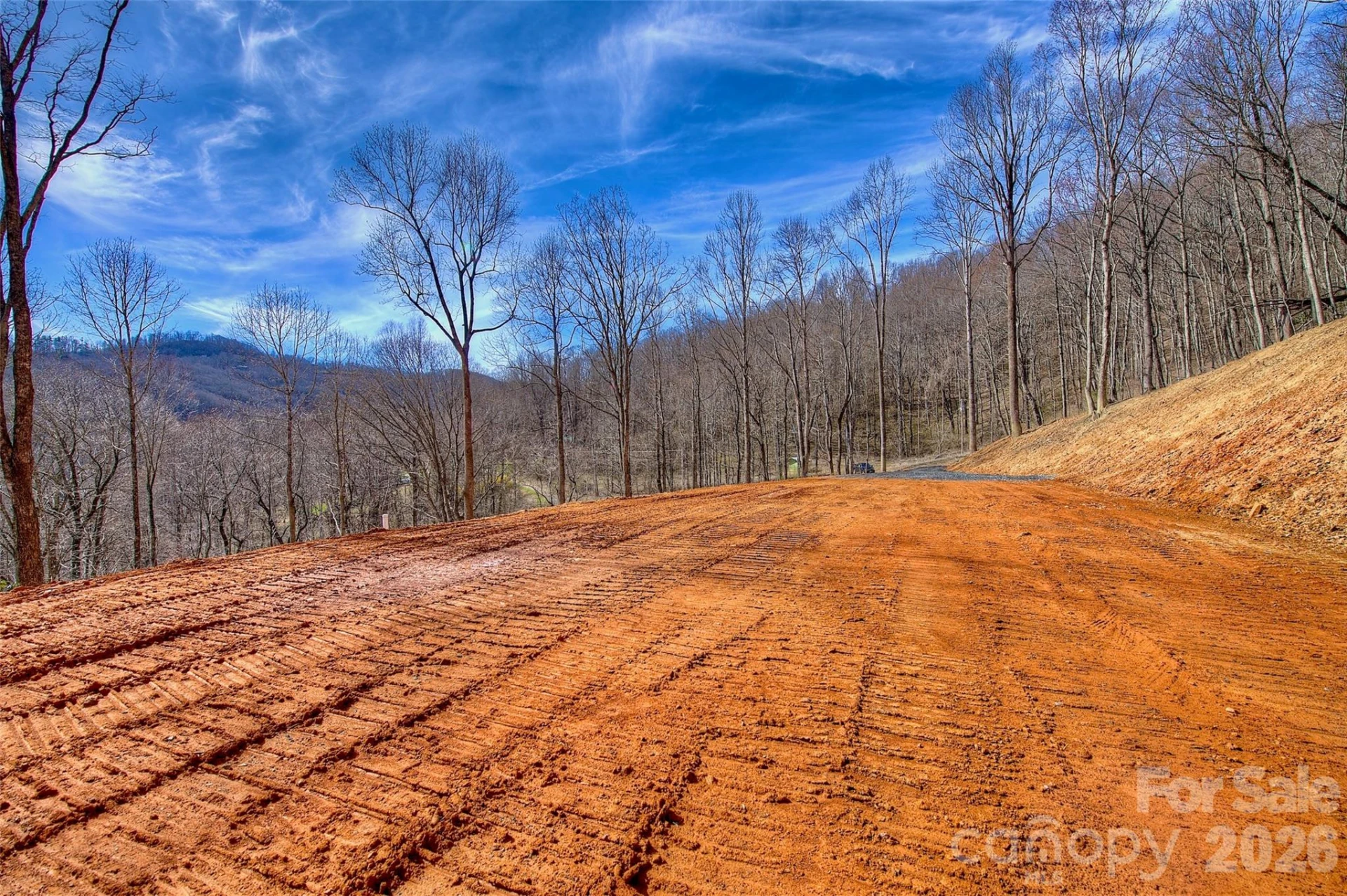 000 Poplar Trail - Photo 2