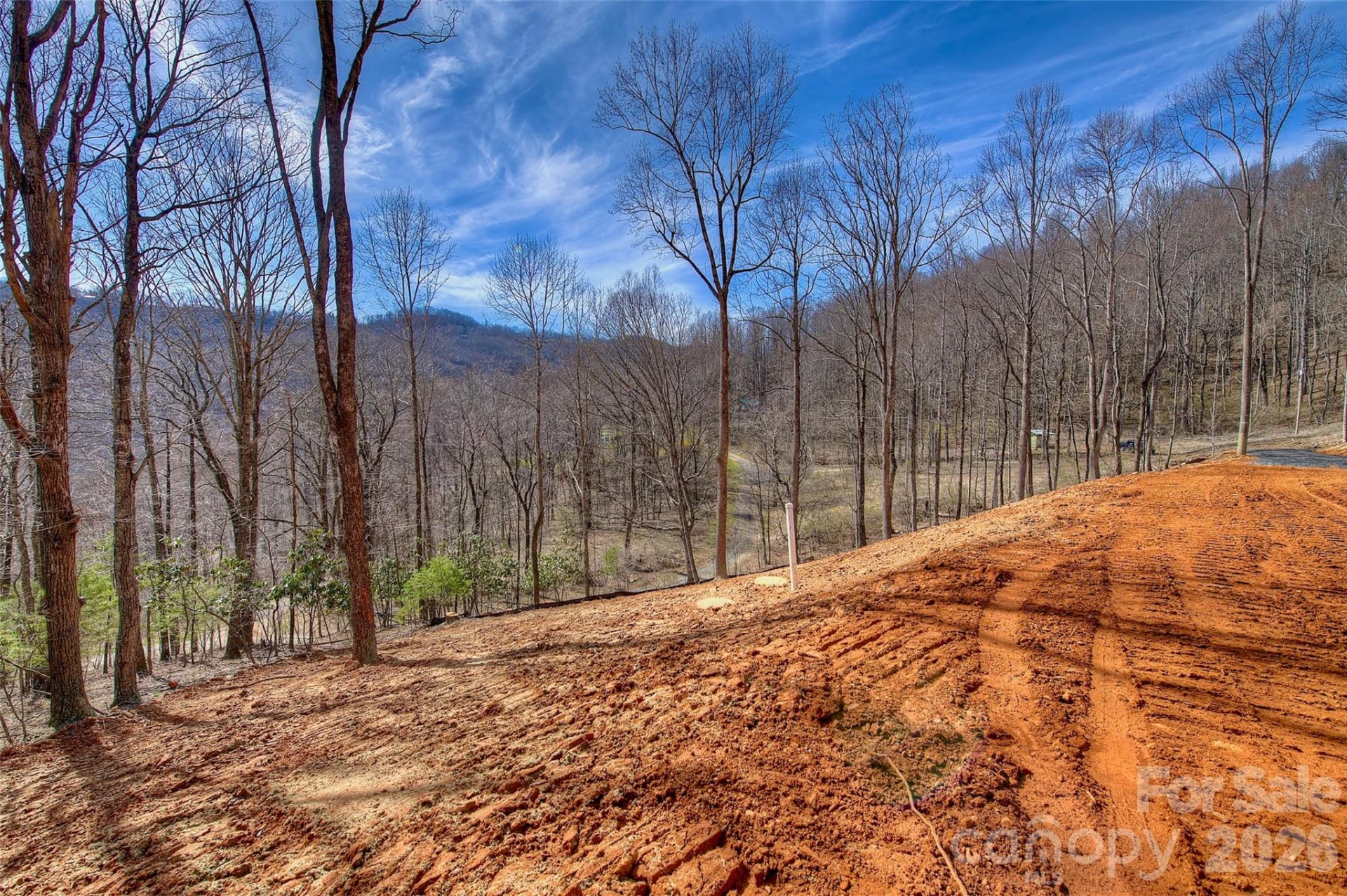 000 Poplar Trail - Photo 3