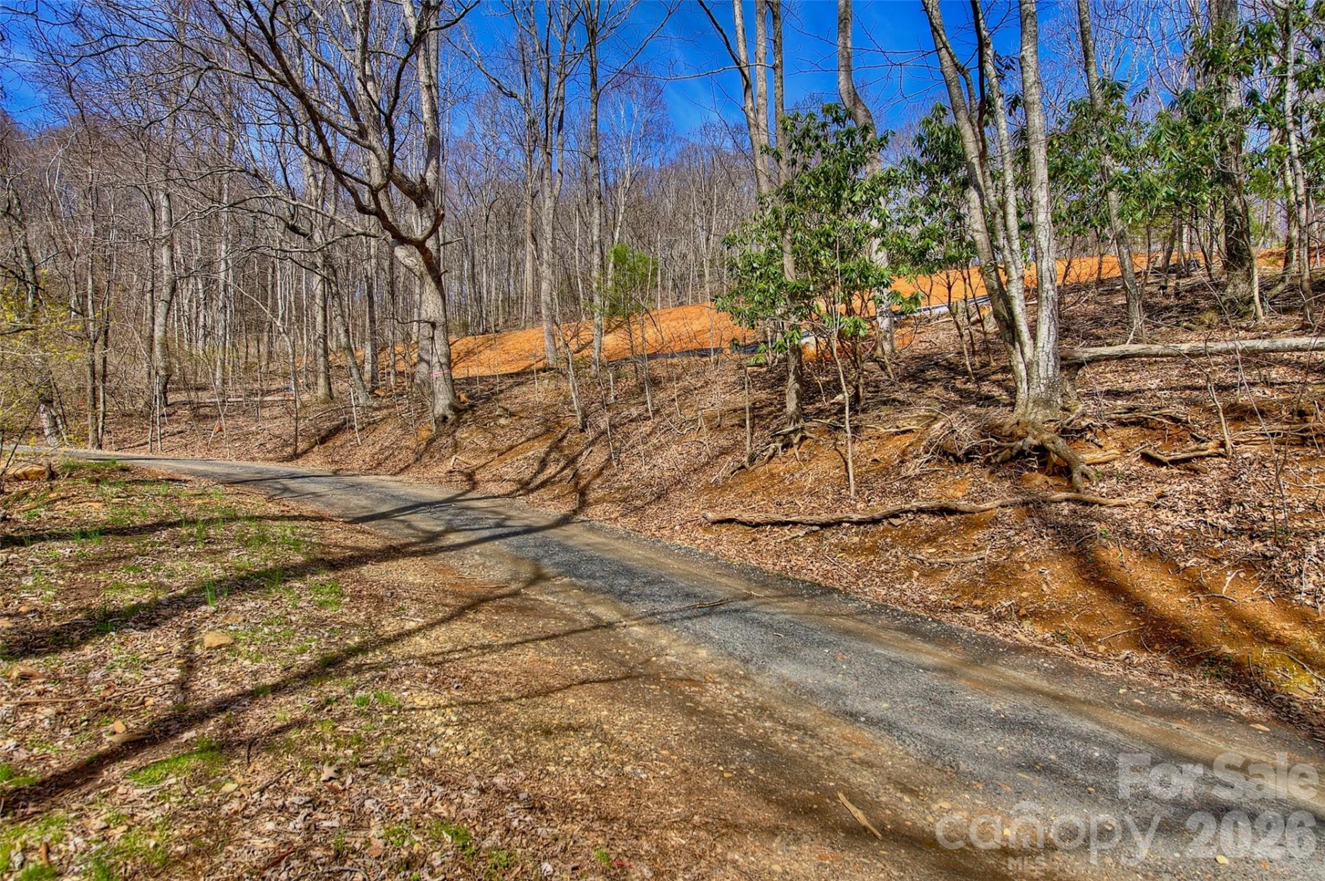 000 Poplar Trail - Photo 4