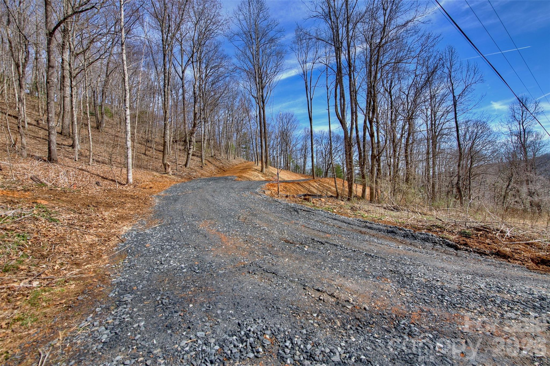 000 Poplar Trail - Photo 5