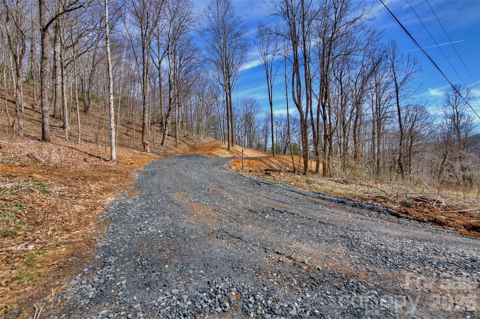 000 Poplar Trail - Photo 5