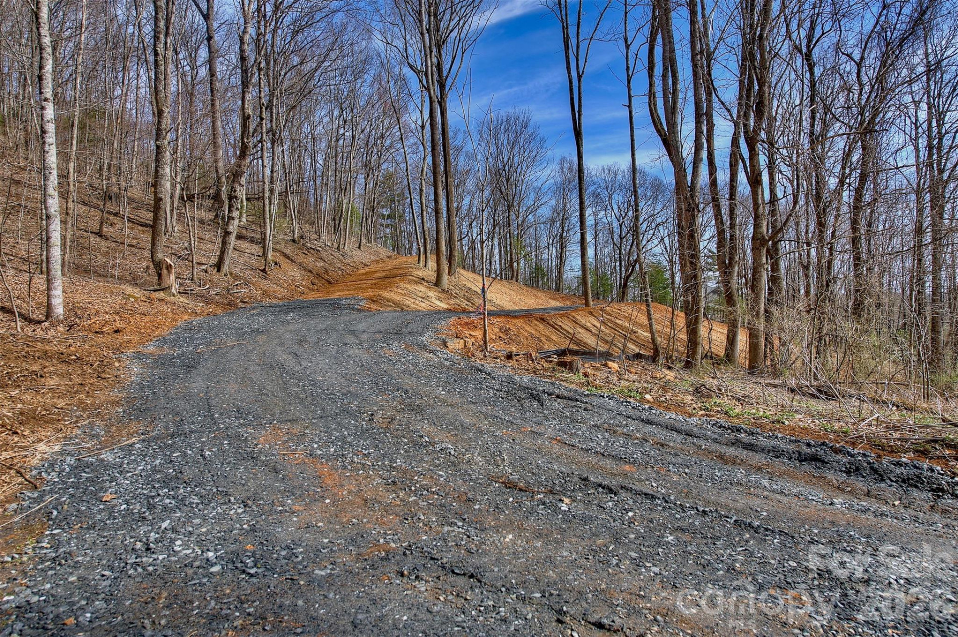 000 Poplar Trail - Photo 6