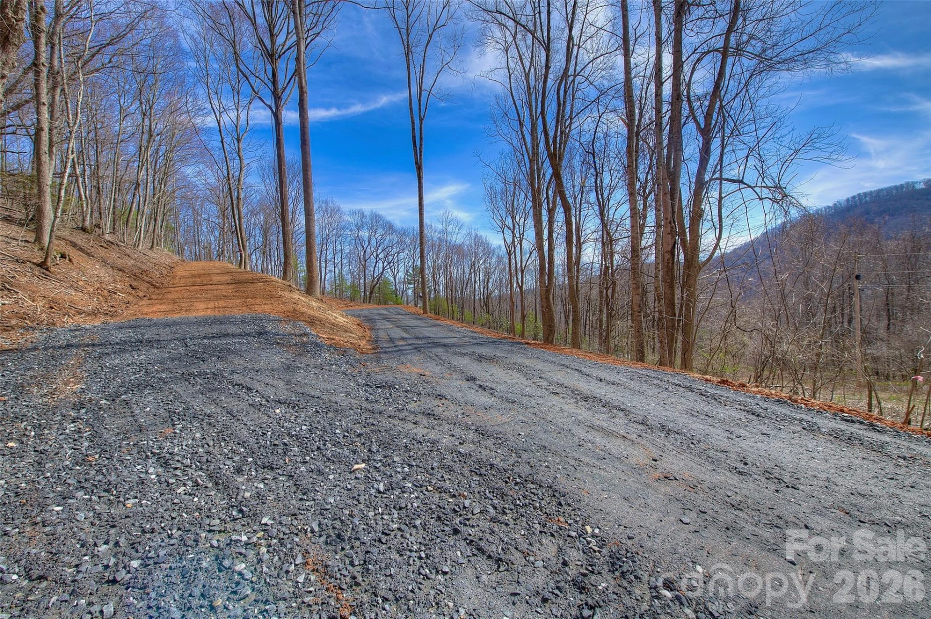000 Poplar Trail - Photo 7