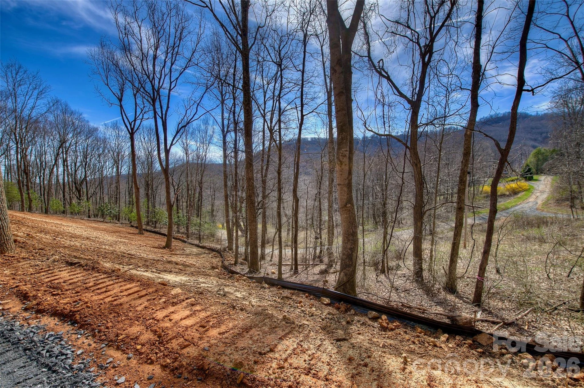 000 Poplar Trail - Photo 8