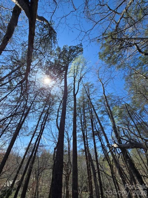 284 Oriole Drive - Photo 2