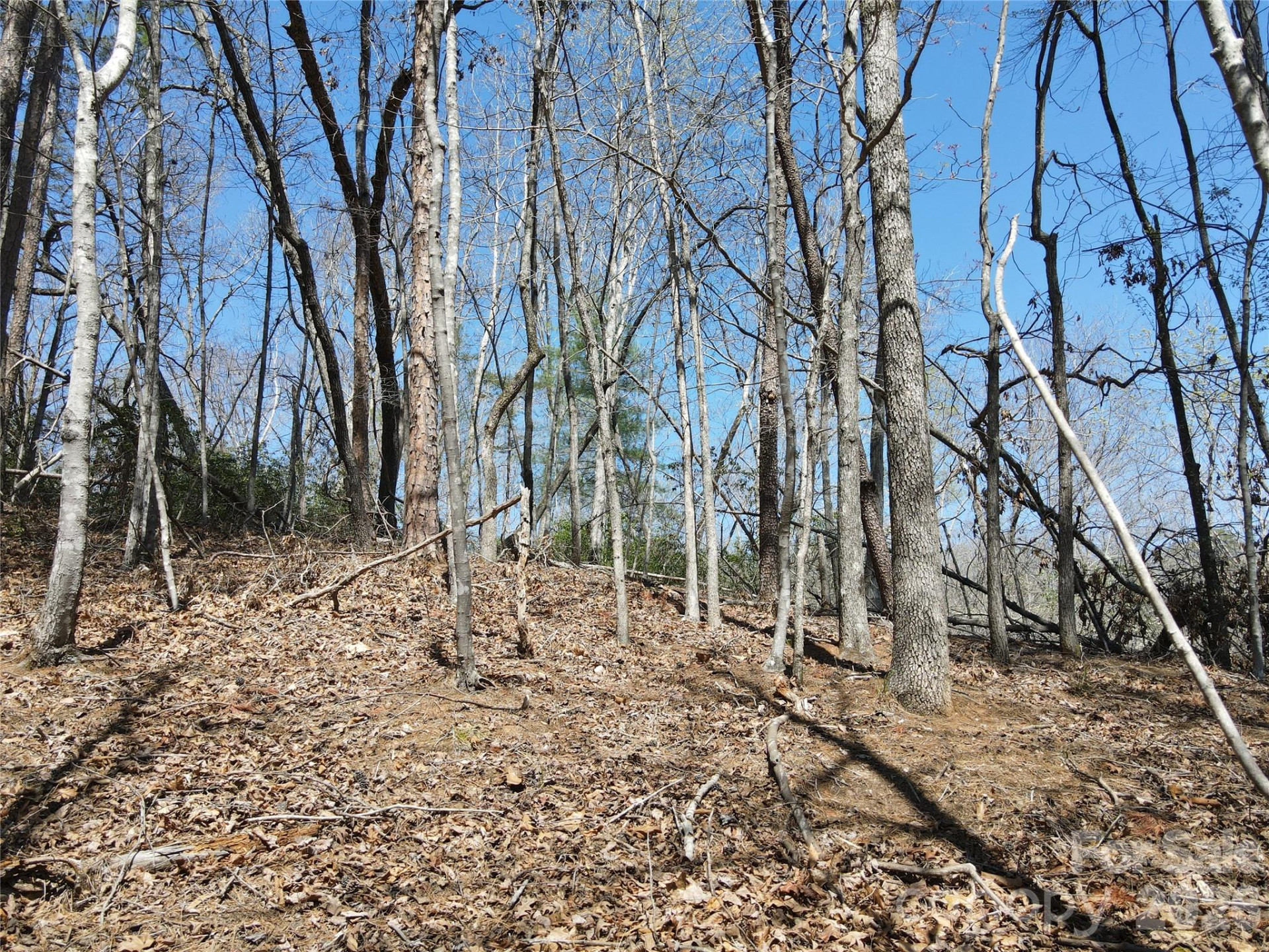 284 Oriole Drive - Photo 11