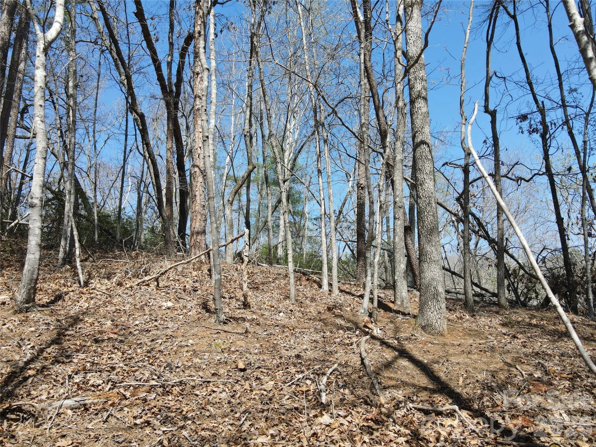 284 Oriole Drive - Photo 11