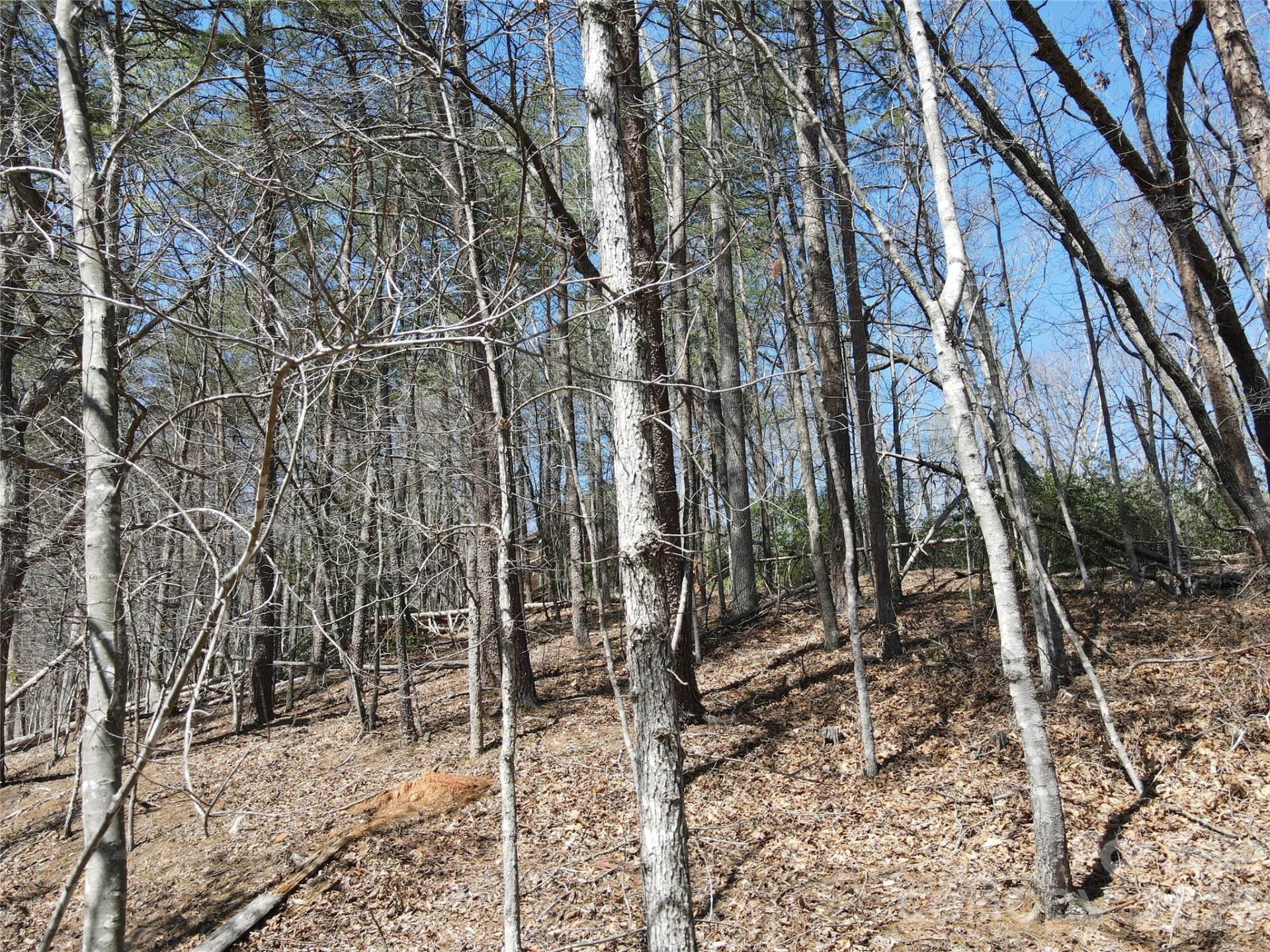 284 Oriole Drive - Photo 12