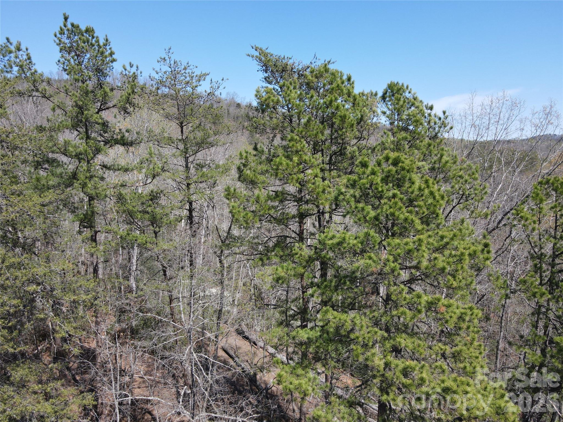 284 Oriole Drive - Photo 13