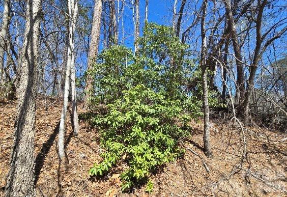 284 Oriole Drive - Photo 4