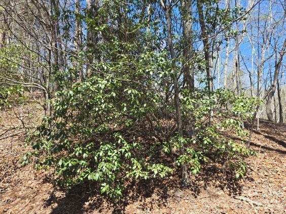 284 Oriole Drive - Photo 5