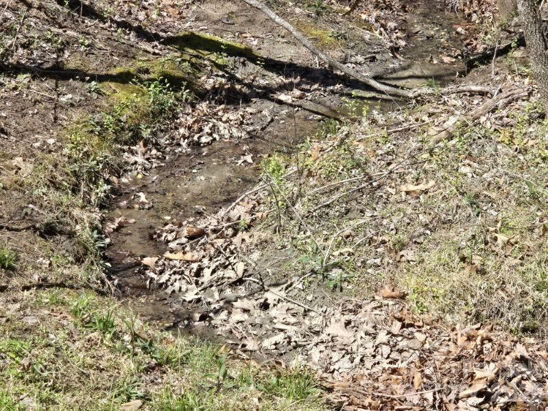 284 Oriole Drive - Photo 6