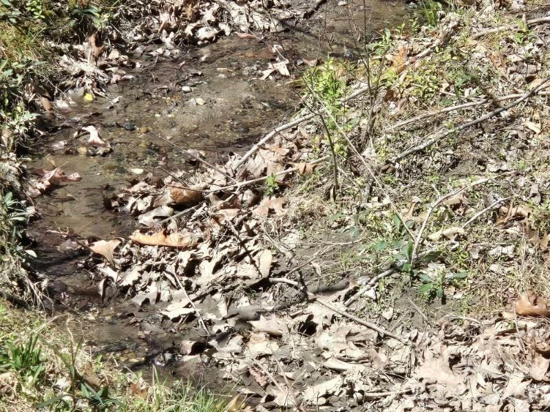 284 Oriole Drive - Photo 7