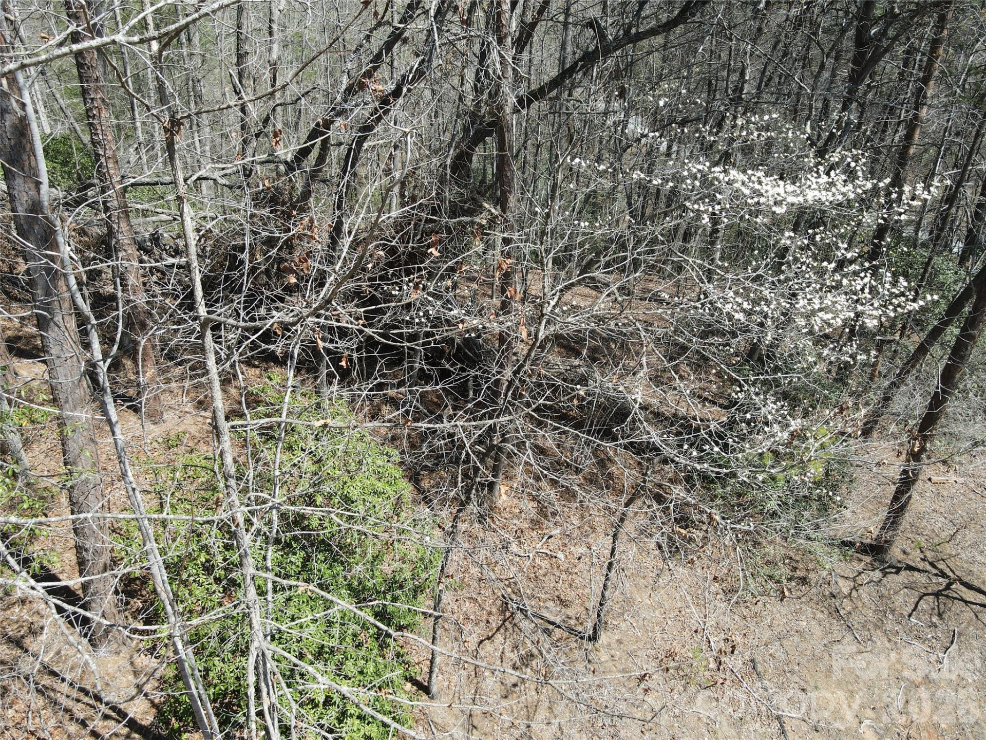 284 Oriole Drive - Photo 8